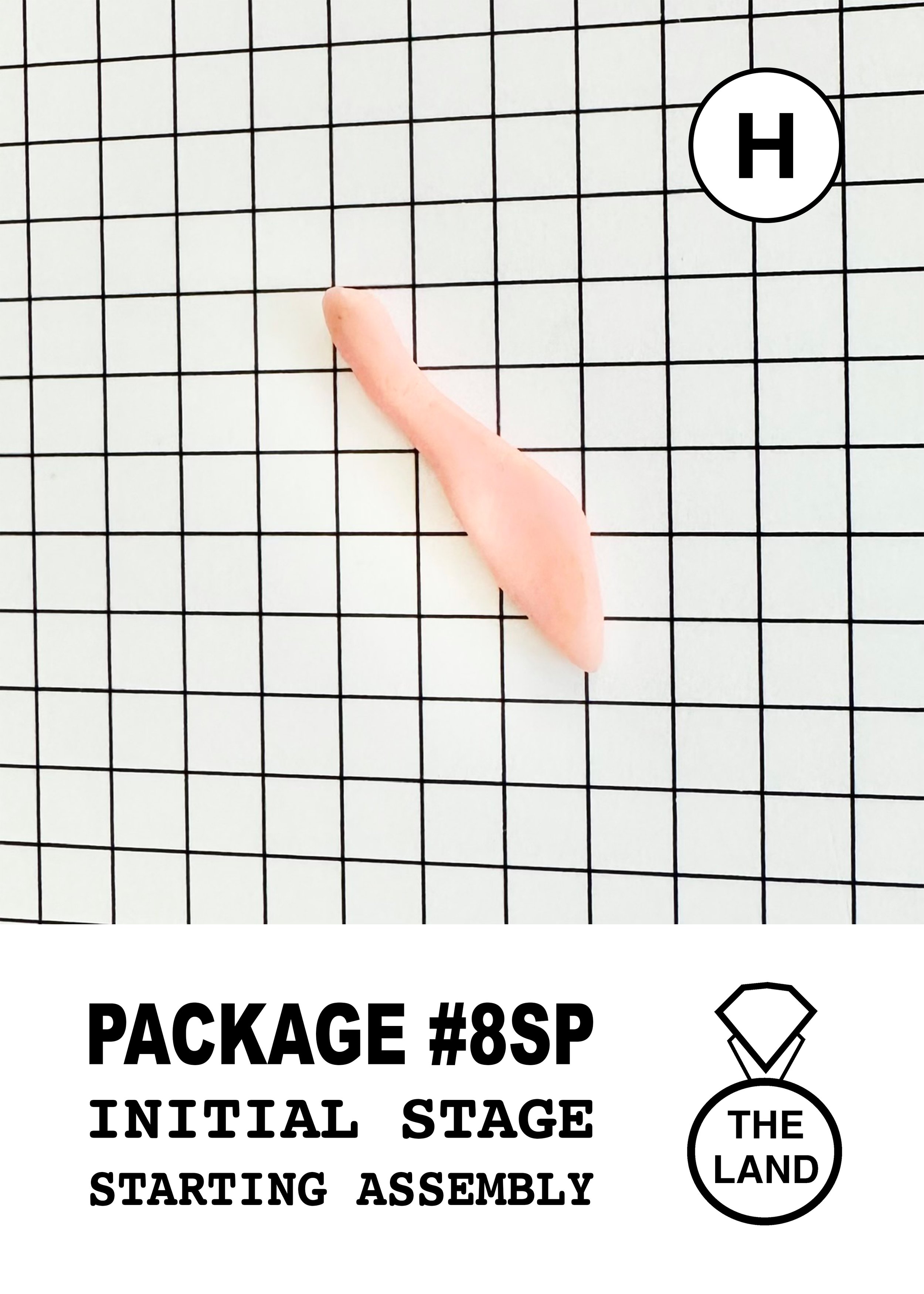 PACKAGE#8-H-INITIAL-STAGE.jpg