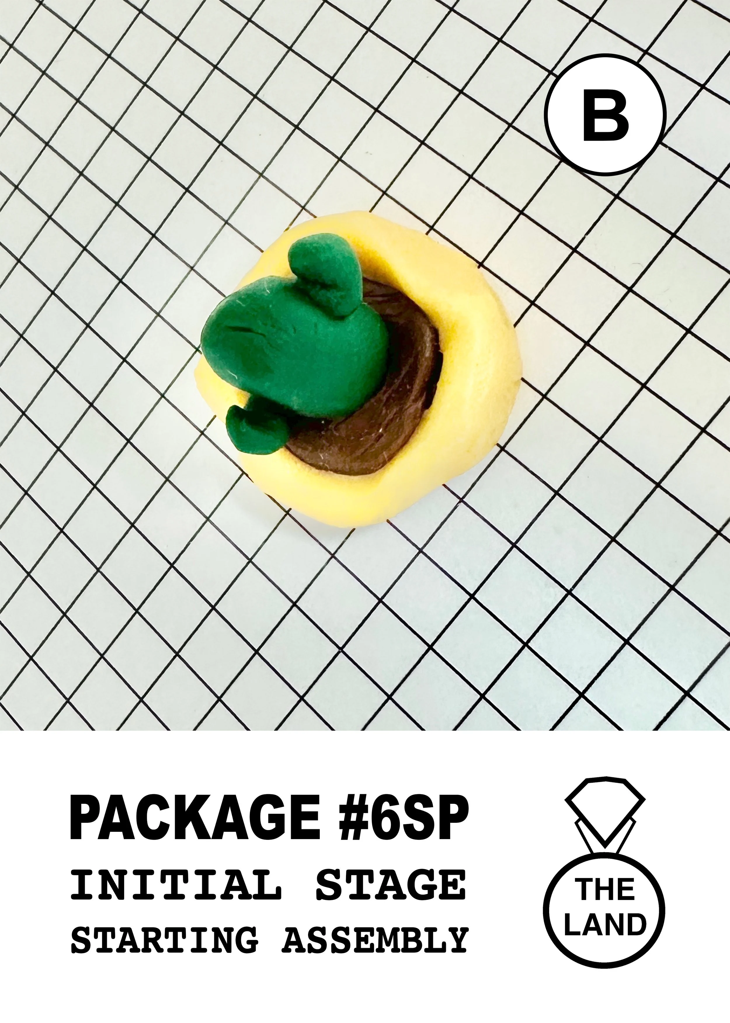 PACKAGE#6-B-INITIAL-STAGE.jpg