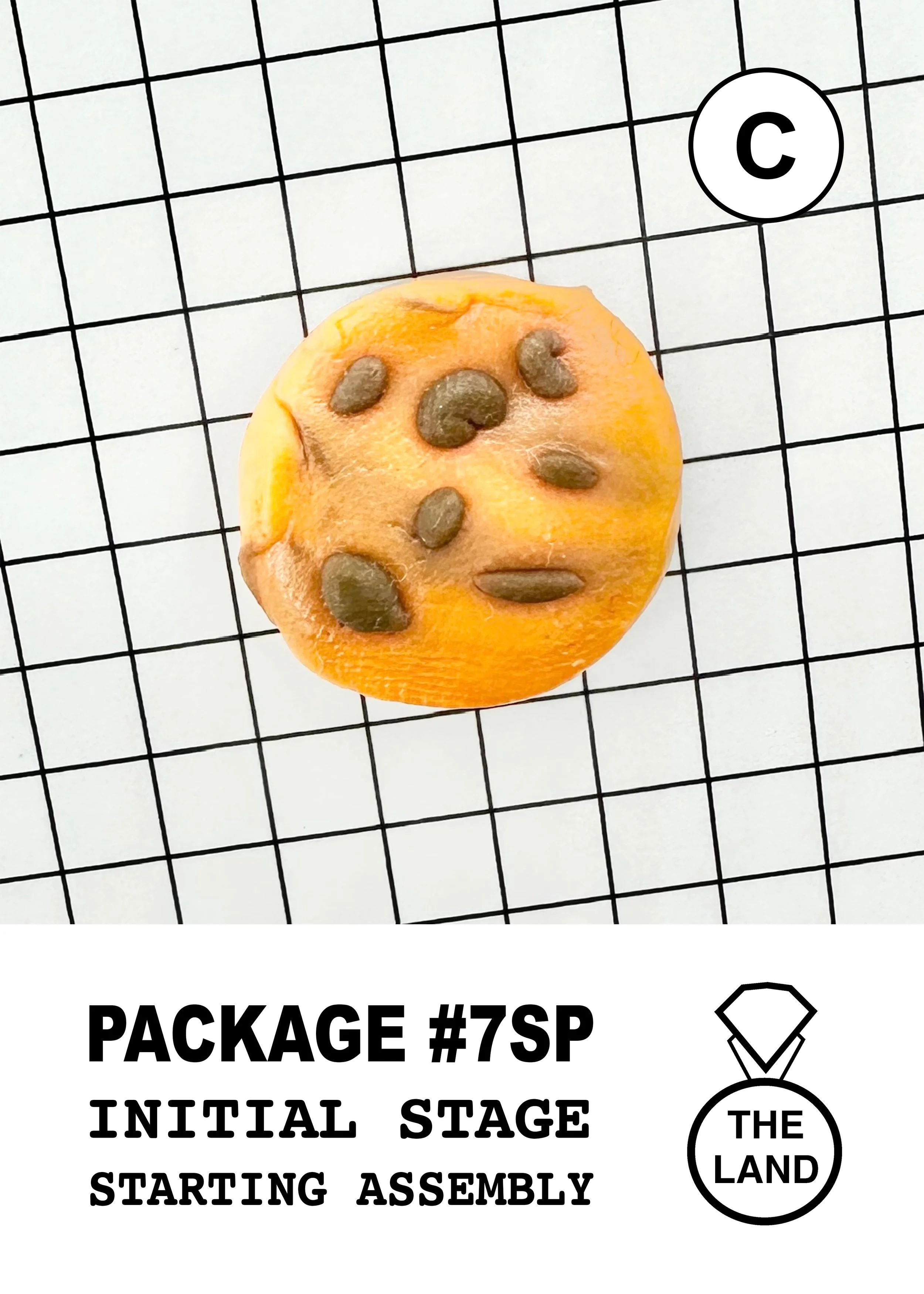 PACKAGE#7-C-INITIAL-STAGE.jpg