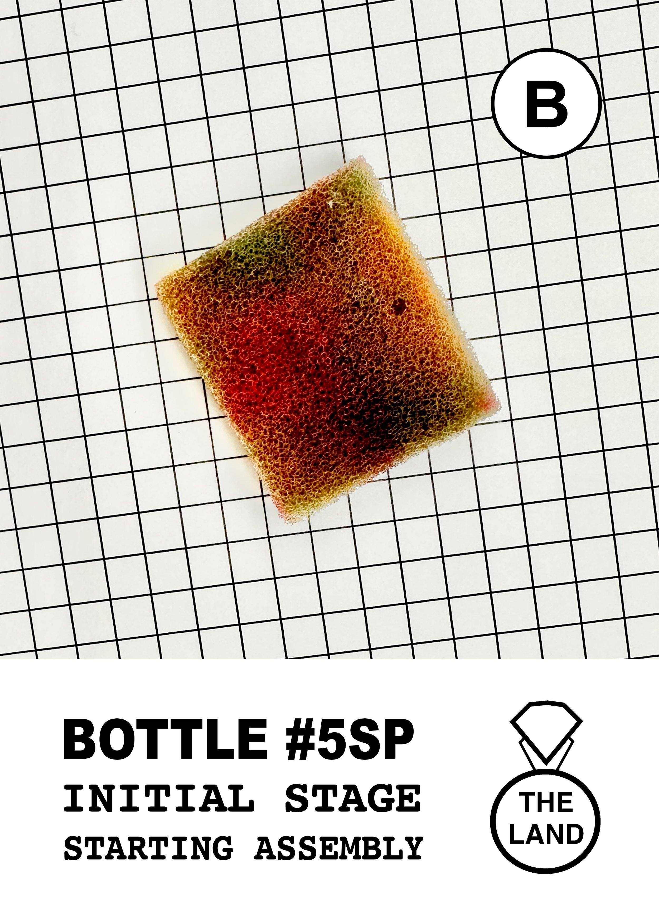 BOTTLE#5-B-INITIAL-STAGE.jpg