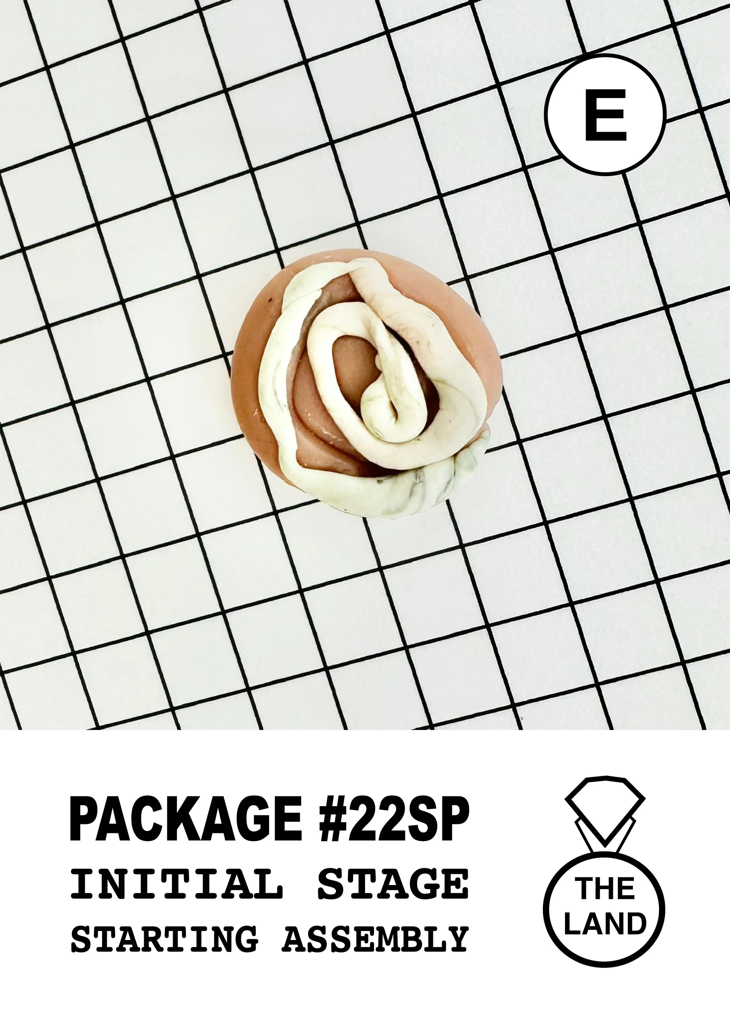 PACKAGE#22-E-INITIAL-STAGE.jpg