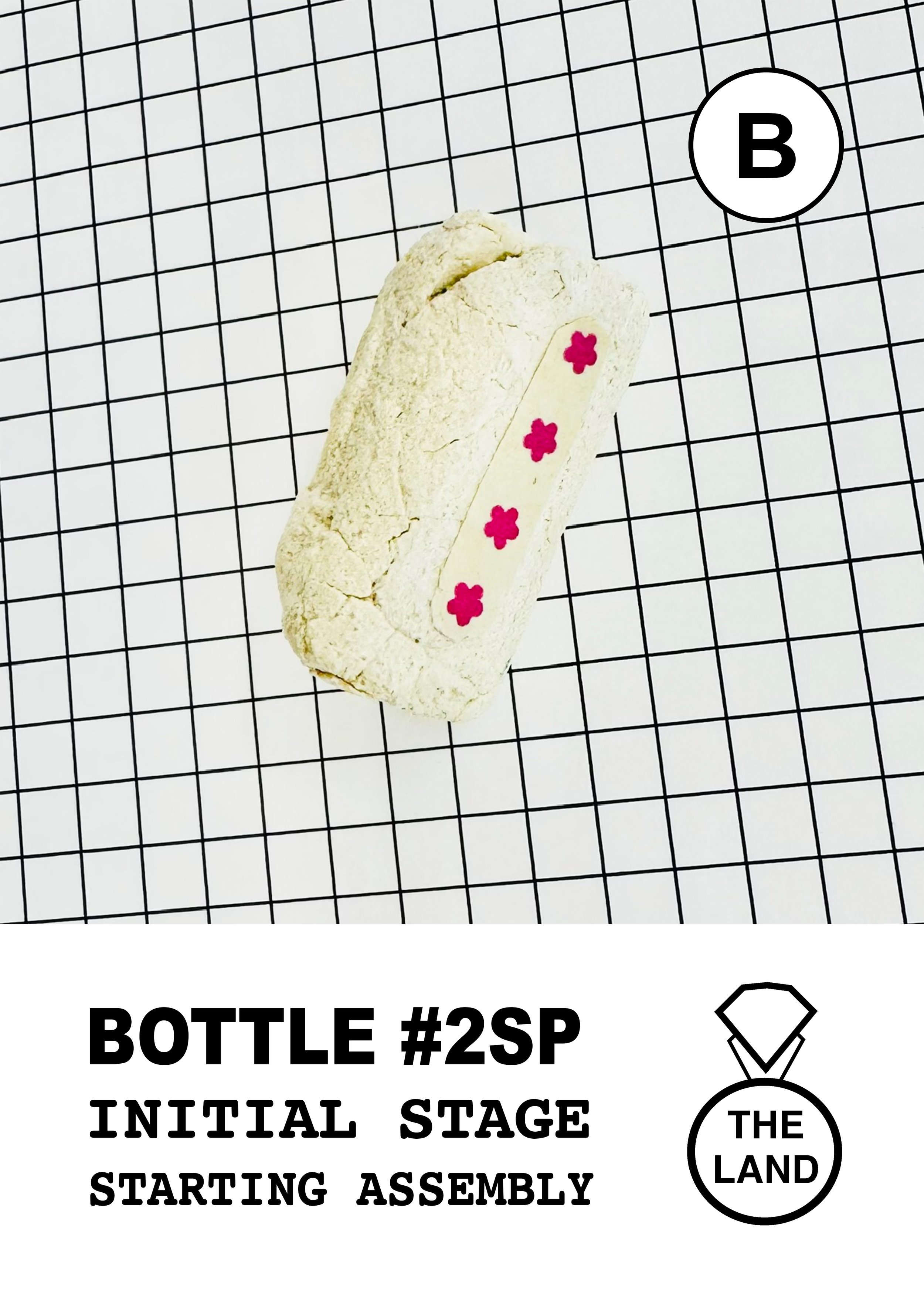 BOTTLE#2-B-INITIAL-STAGE.jpg