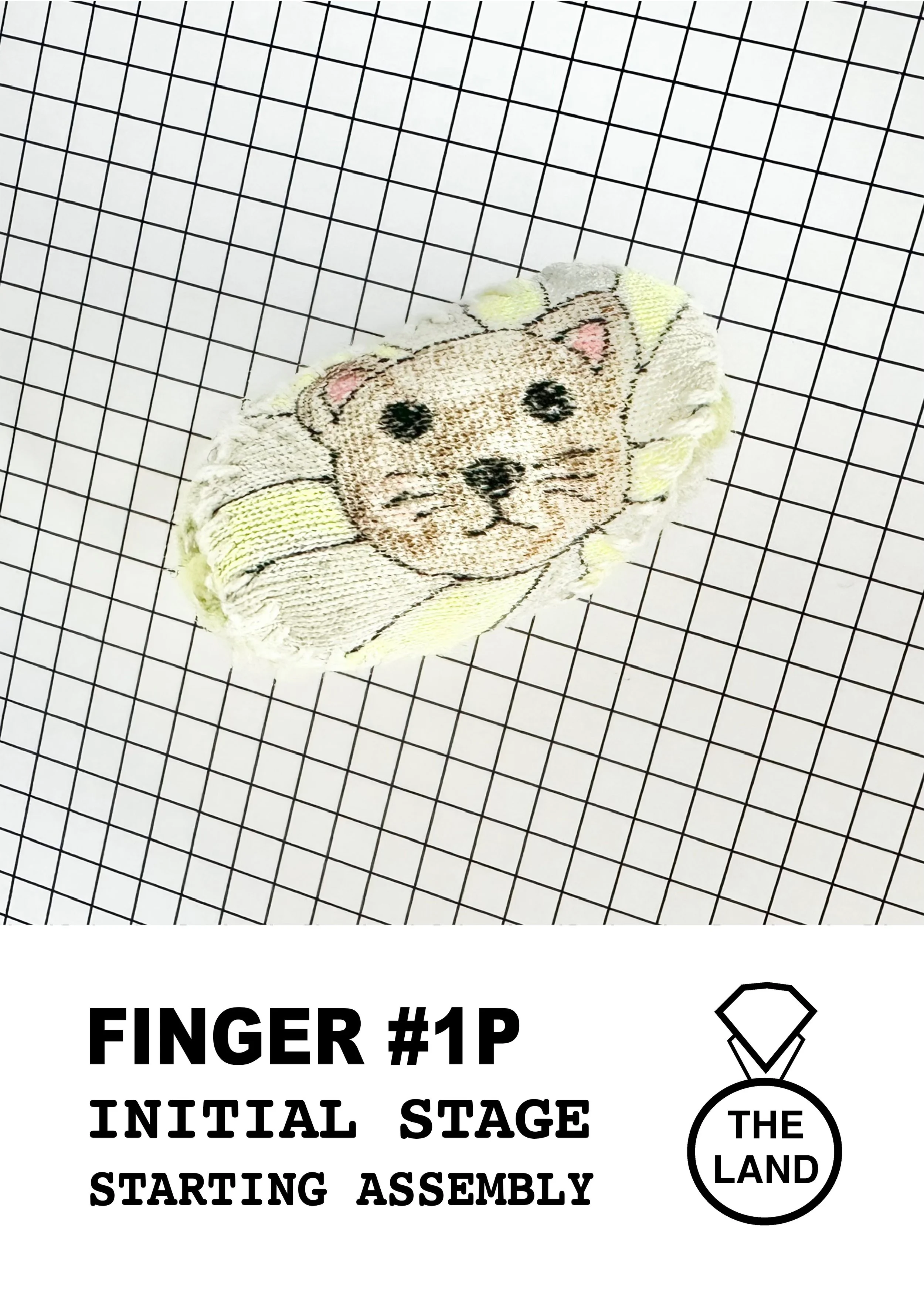 FINGER#1-INITIAL-STAGE.jpg