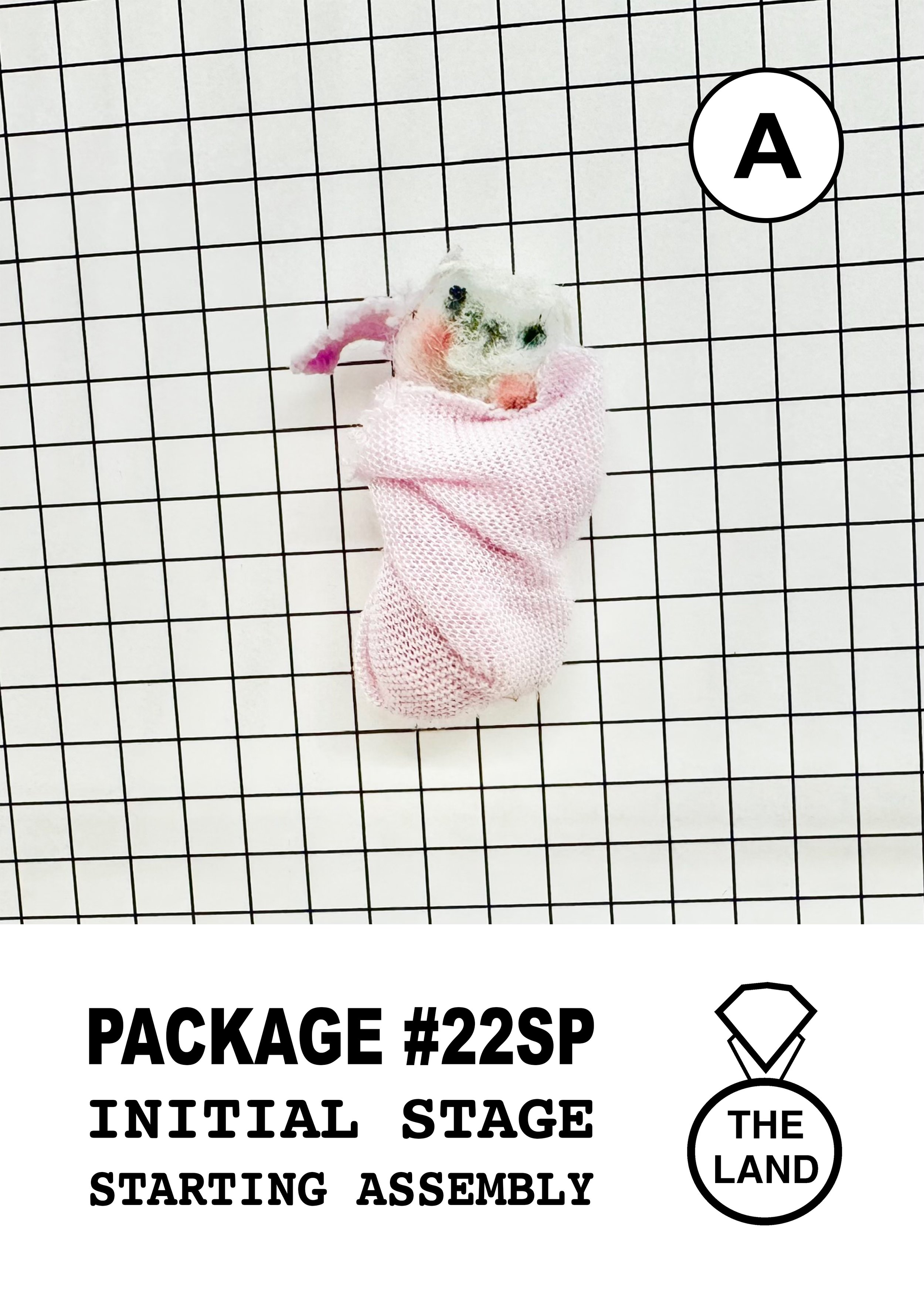 PACKAGE#22-A-INITIAL-STAGE.jpg