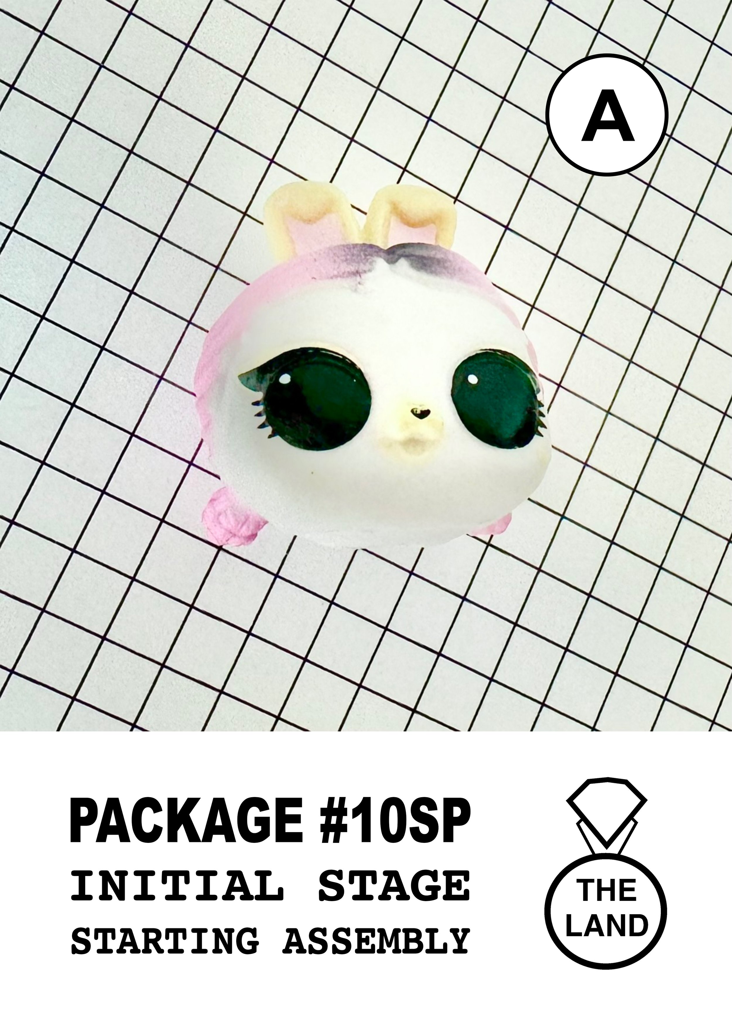 PACKAGE#10-A-INITIAL-STAGE.jpg