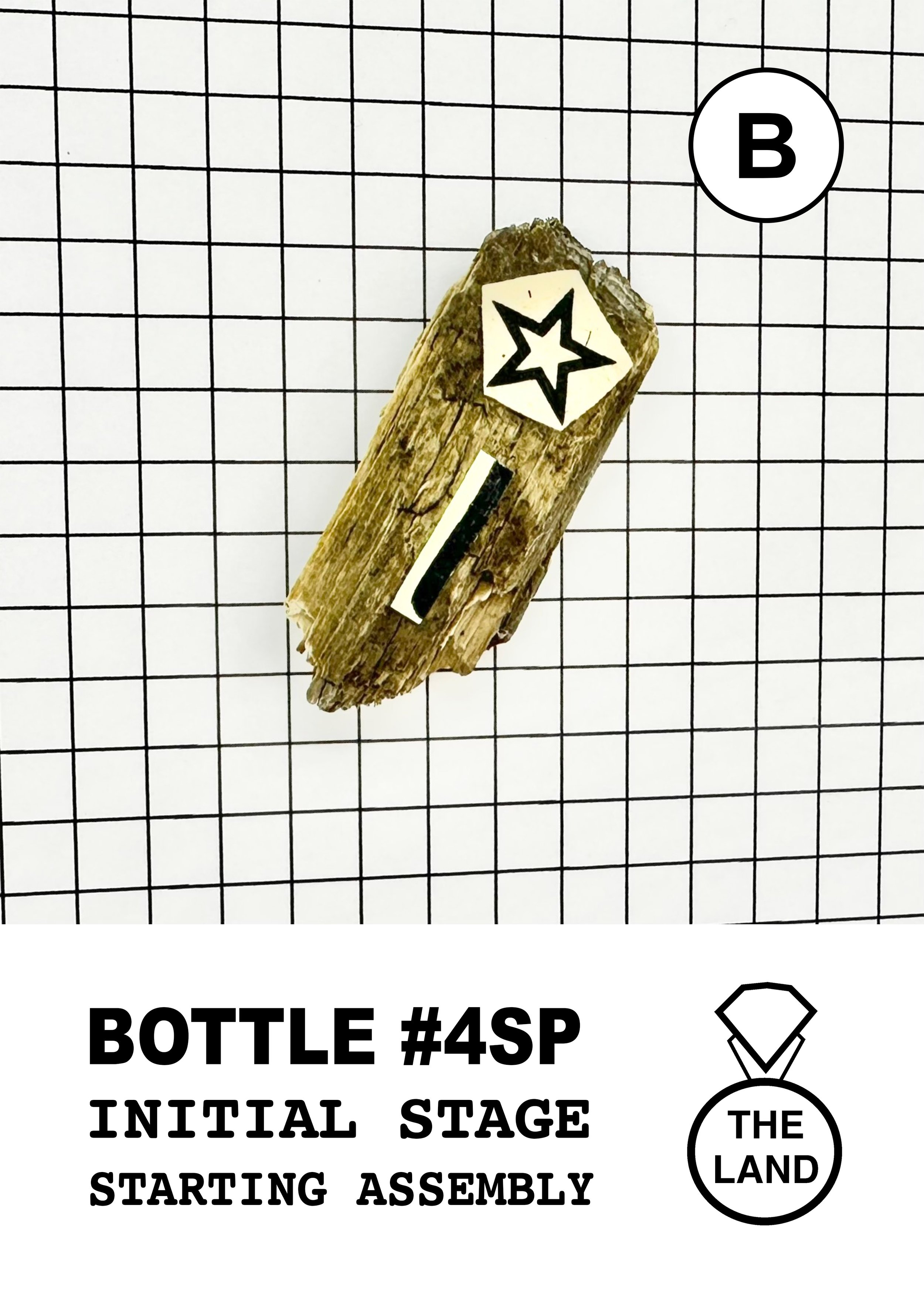 BOTTLE#4-B-INITIAL-STAGE.jpg