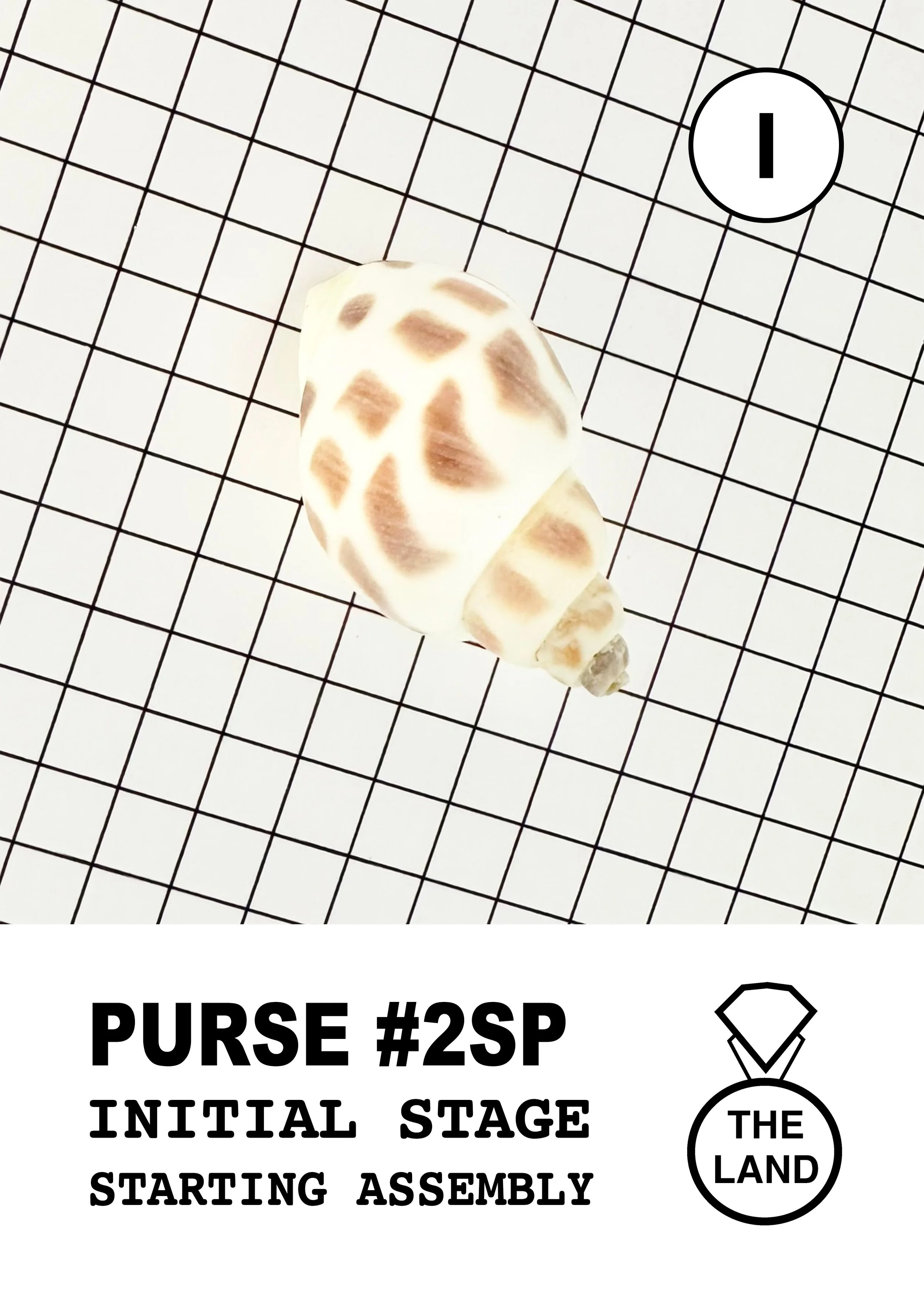 PURSE#2-I-INITIAL-STAGE.jpg