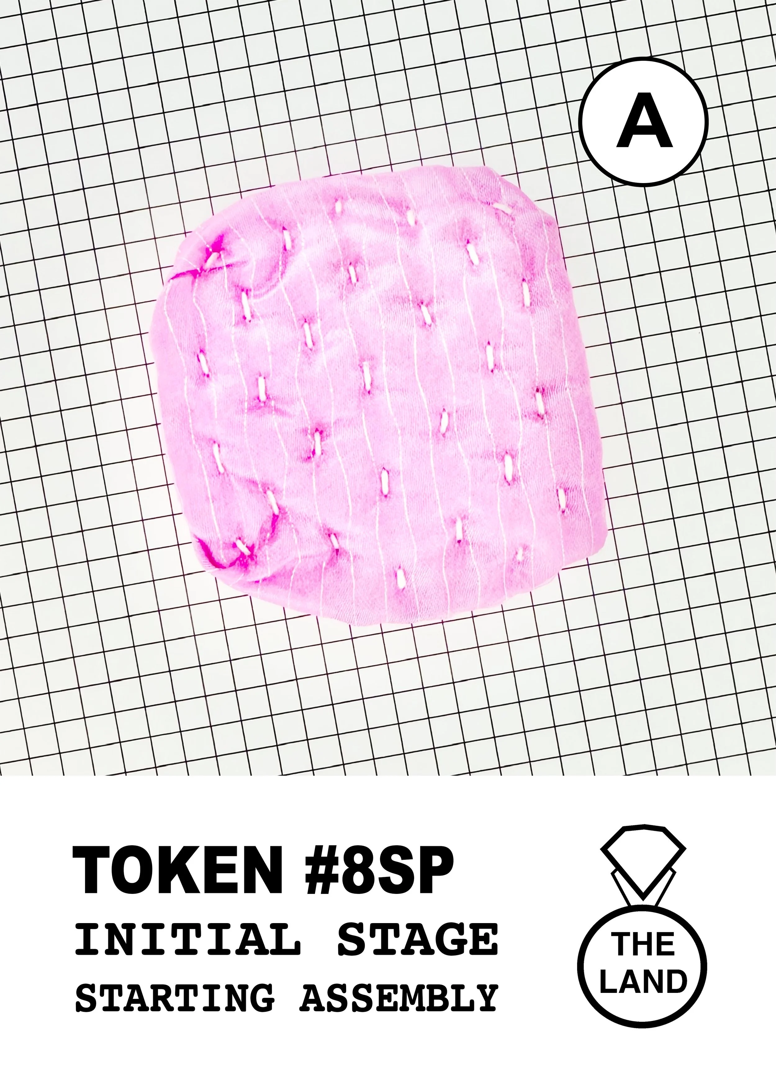 TOKEN#8-A-INITIAL-STAGE.jpg