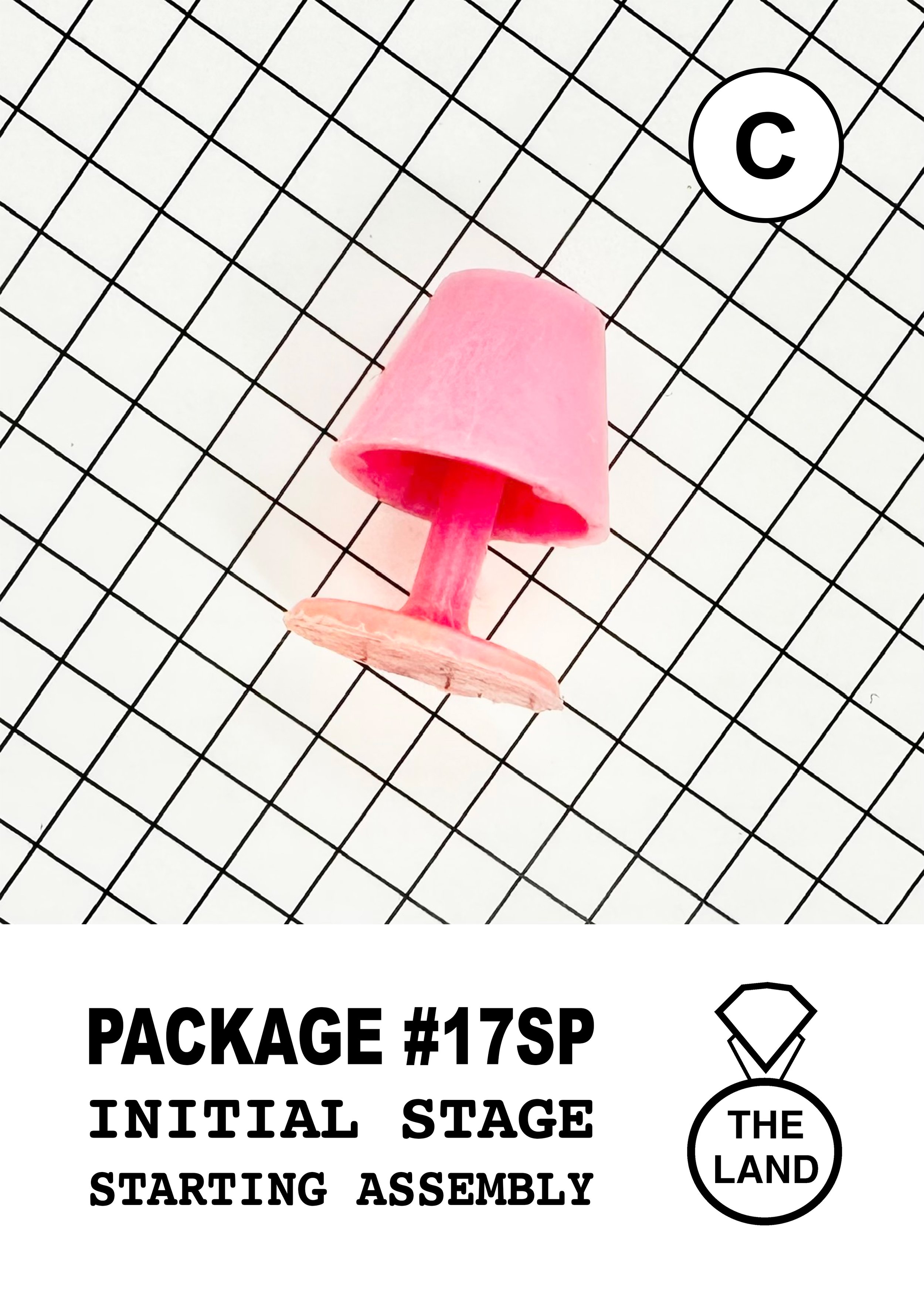 PACKAGE#17-C-INITIAL-STAGE.jpg