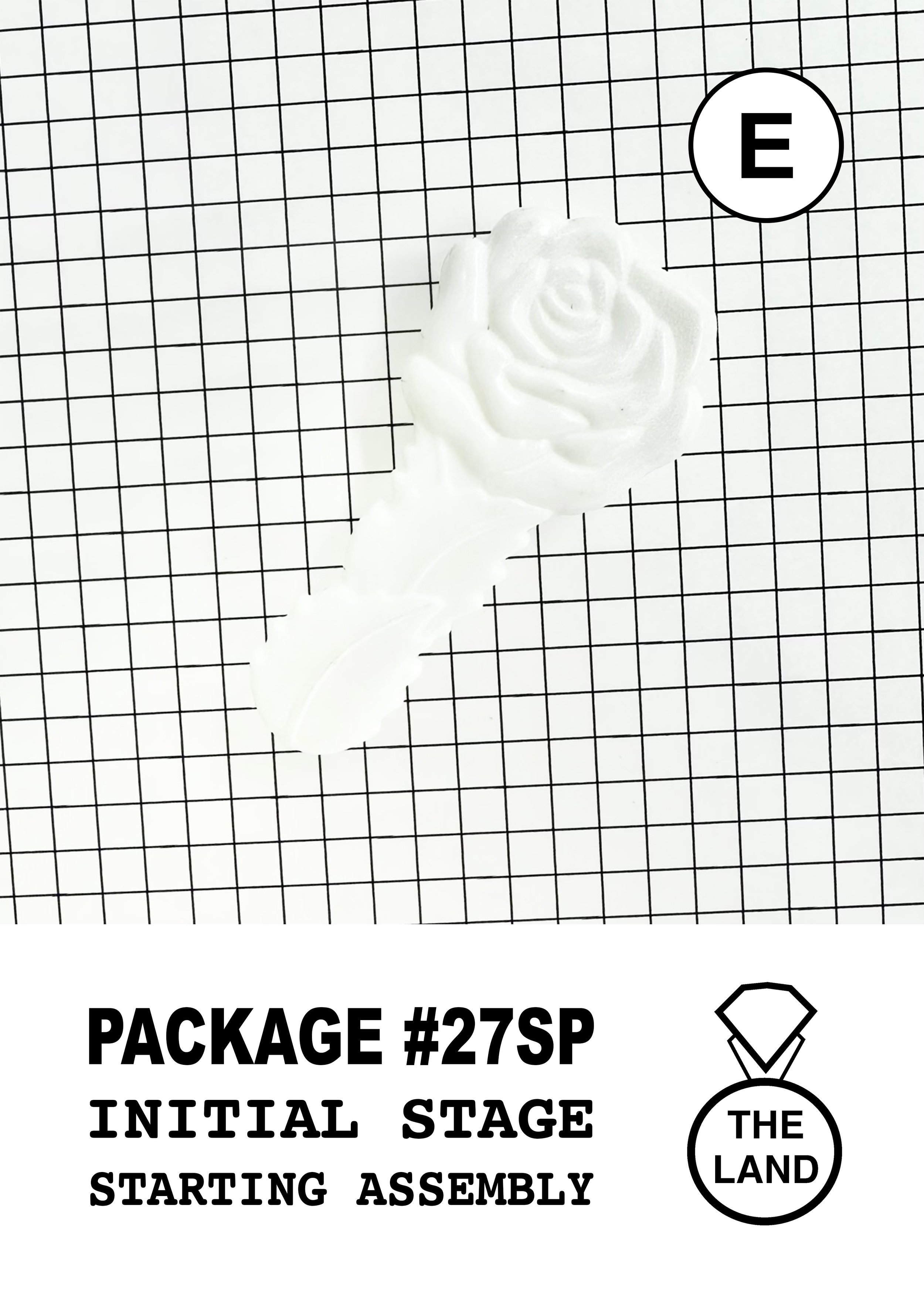 PACKAGE#27-E-INITIAL-STAGE.jpg