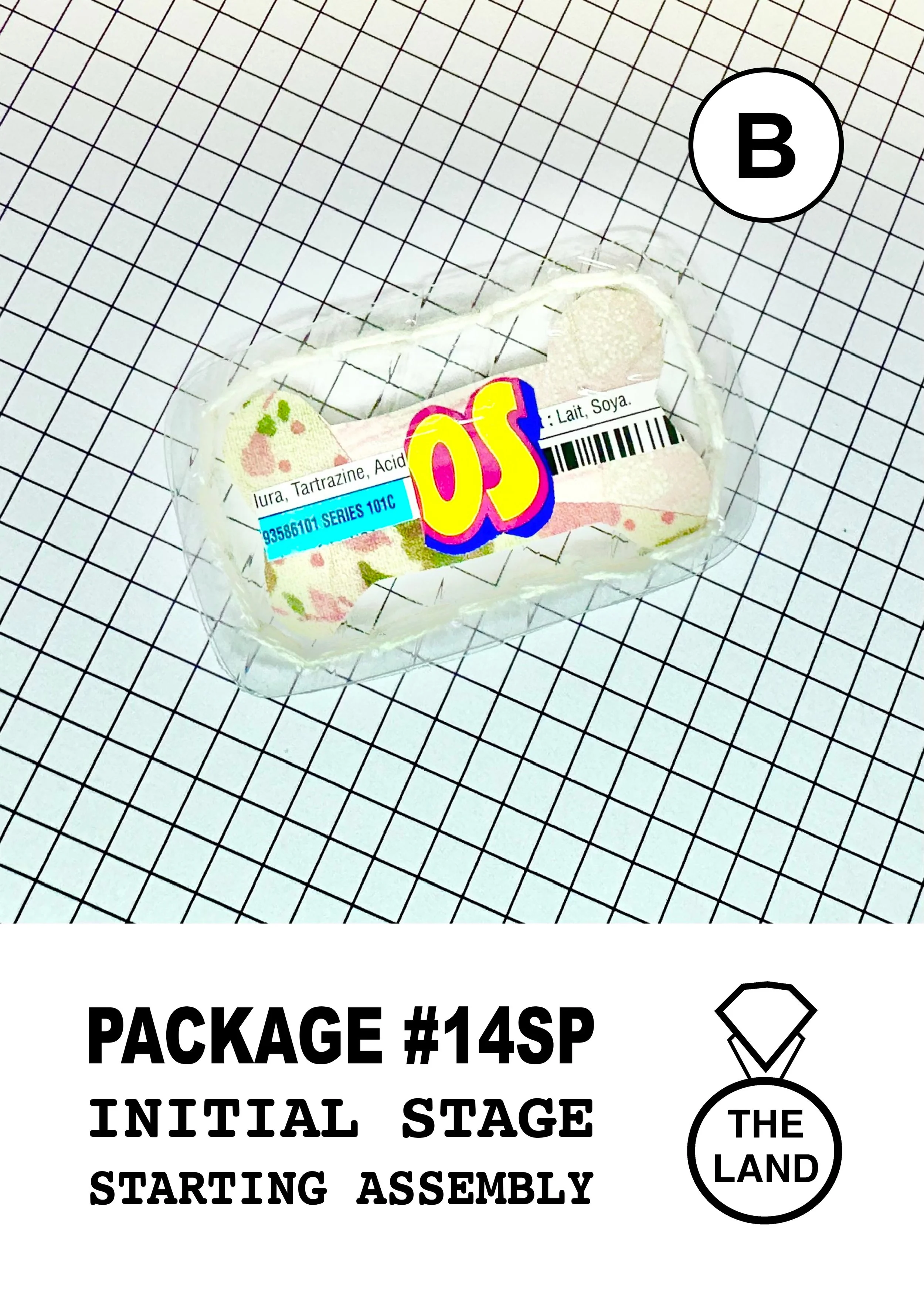 PACKAGE#14-B-INITIAL-STAGE.jpg