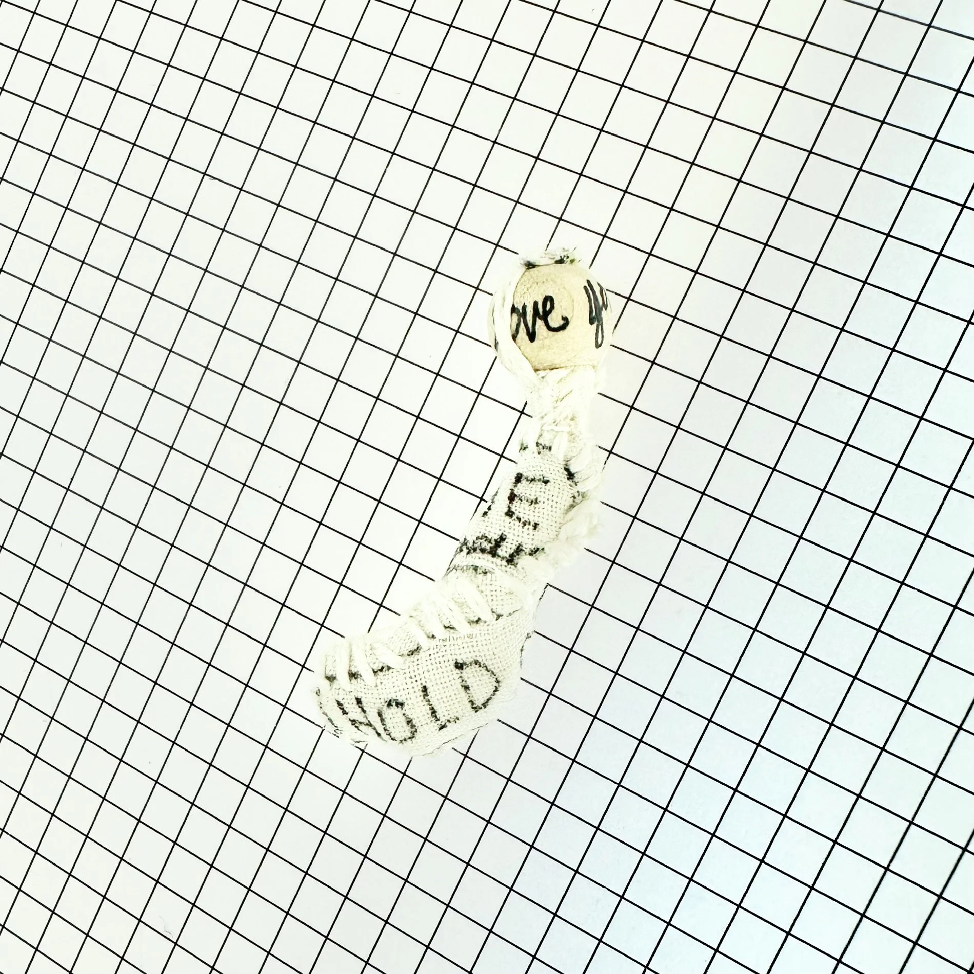package-6-initial-f.JPG