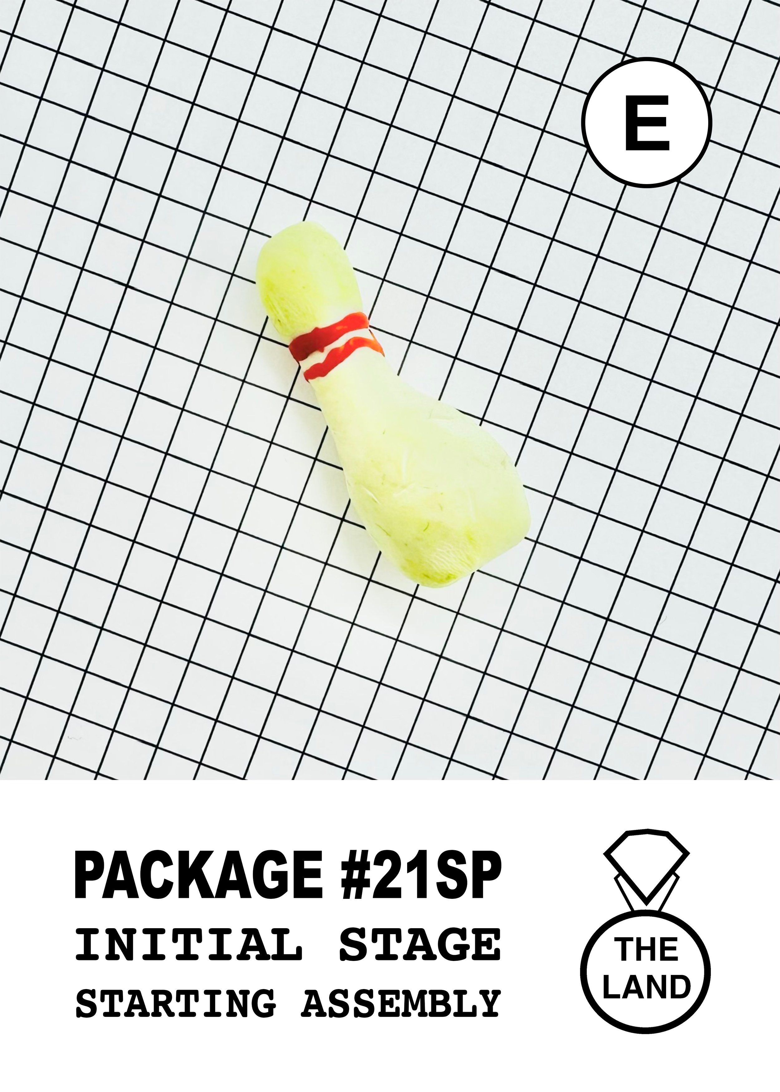 PACKAGE#21-E-INITIAL-STAGE.jpg
