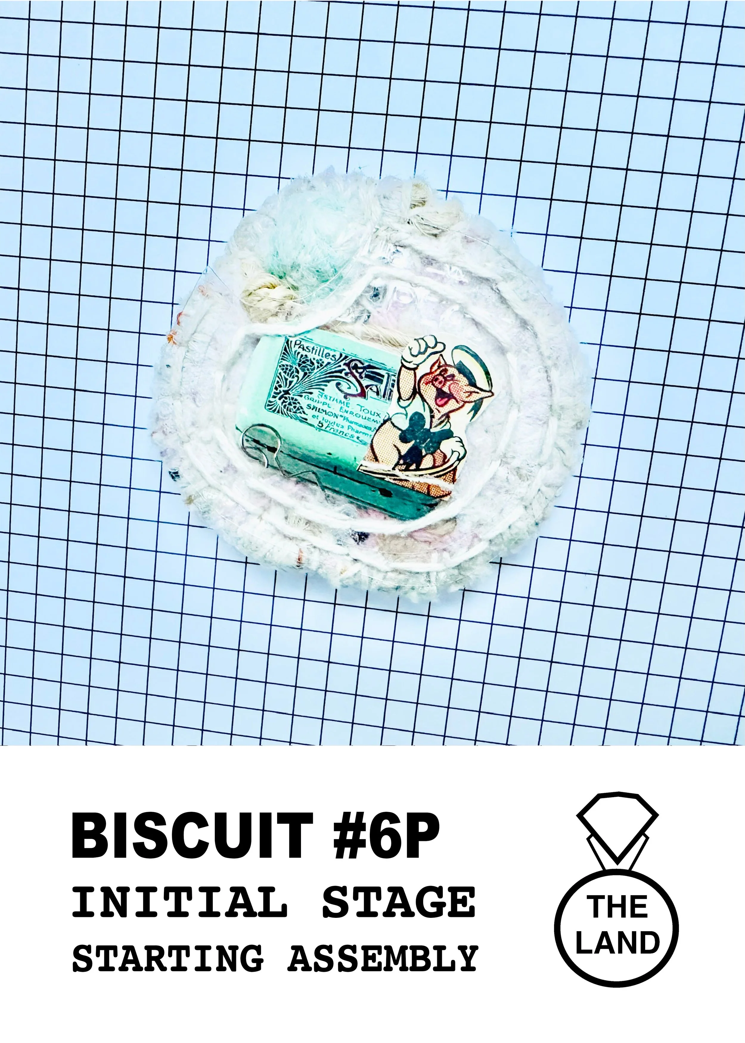 BISCUIT#6-INITIAL-STAGE.jpg