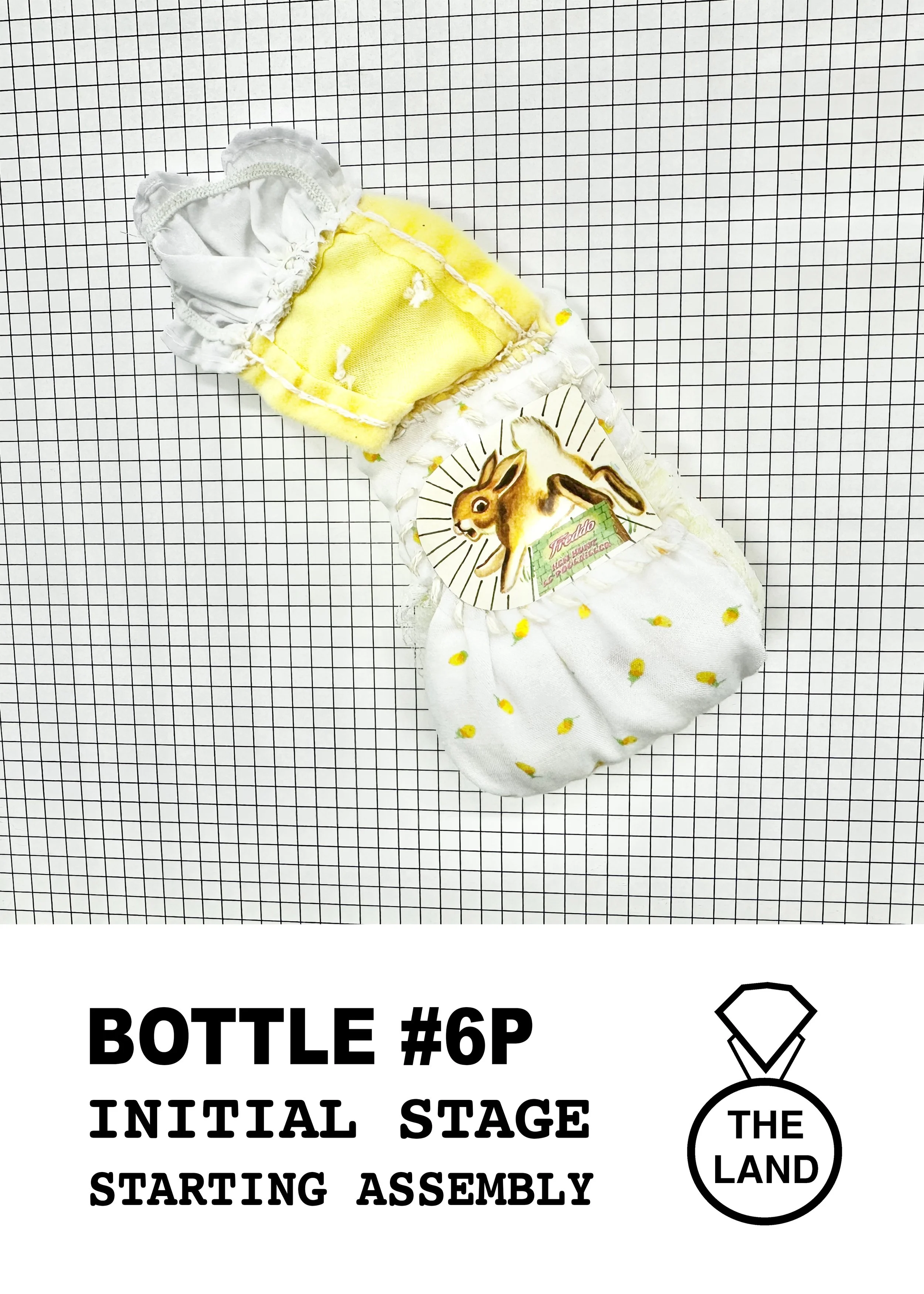 BOTTLE#6-1-INITIAL-STAGE.jpg