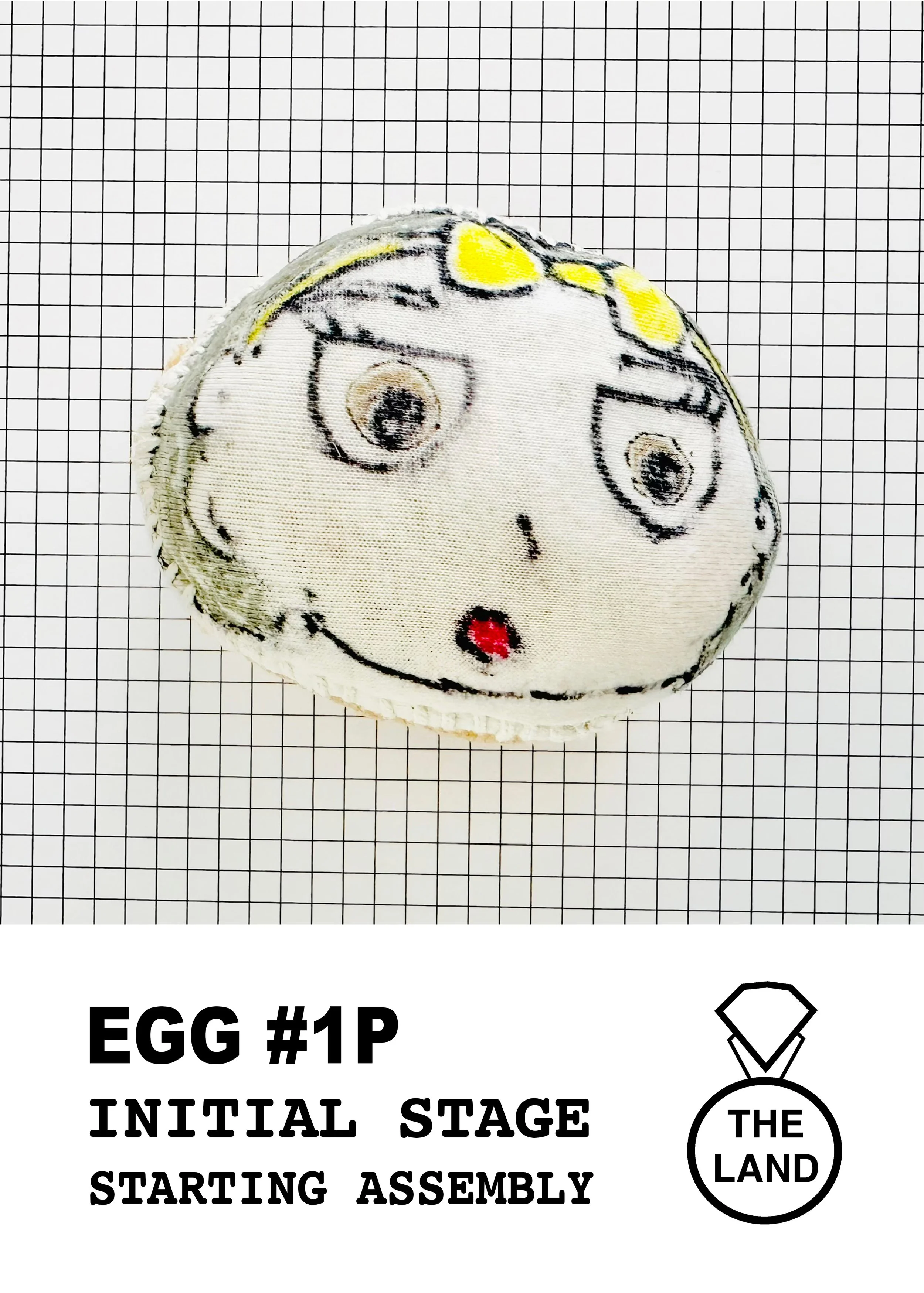 EGG#1-INITIAL-STAGE.jpg