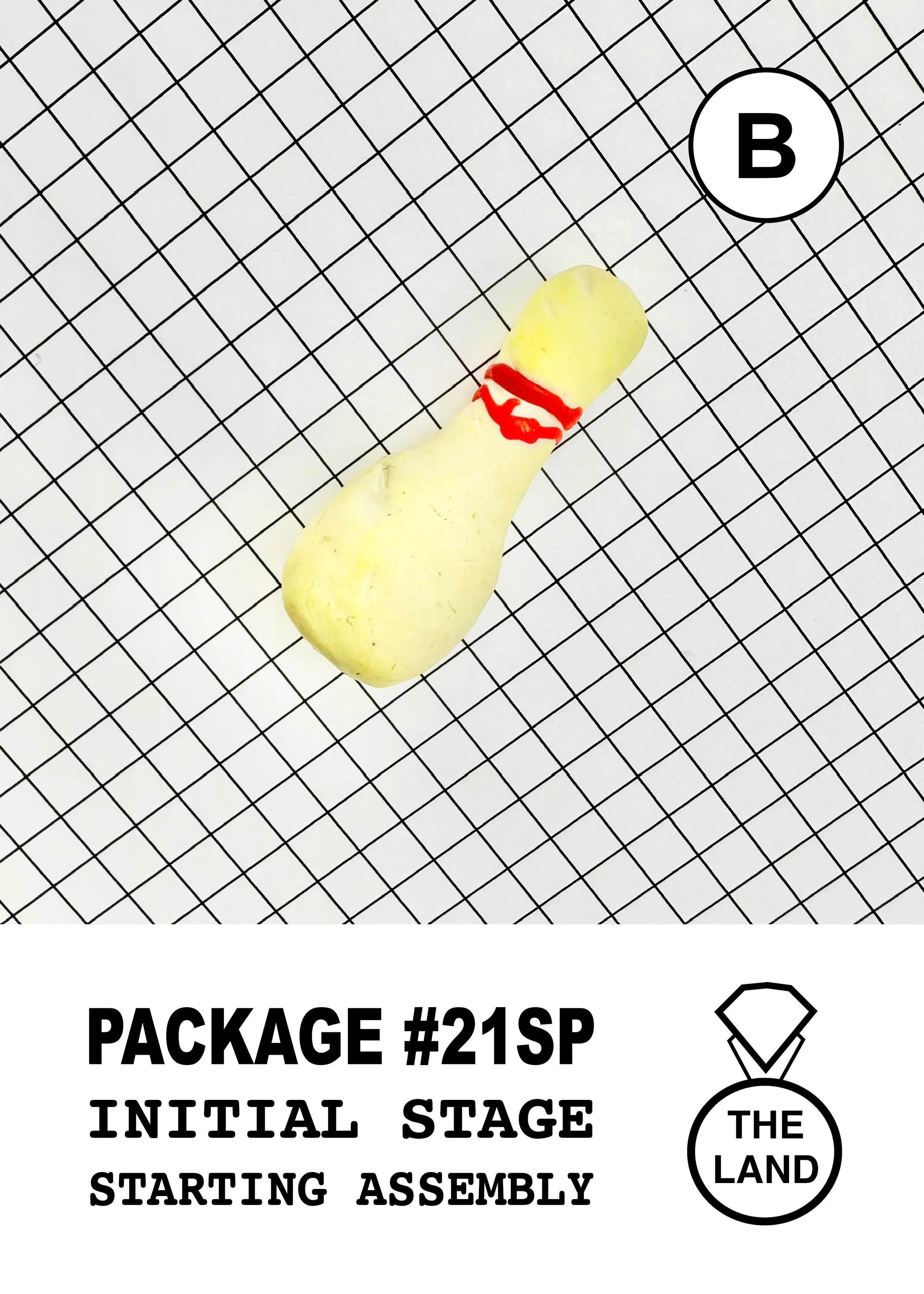 PACKAGE#21-B-INITIAL-STAGE.jpg