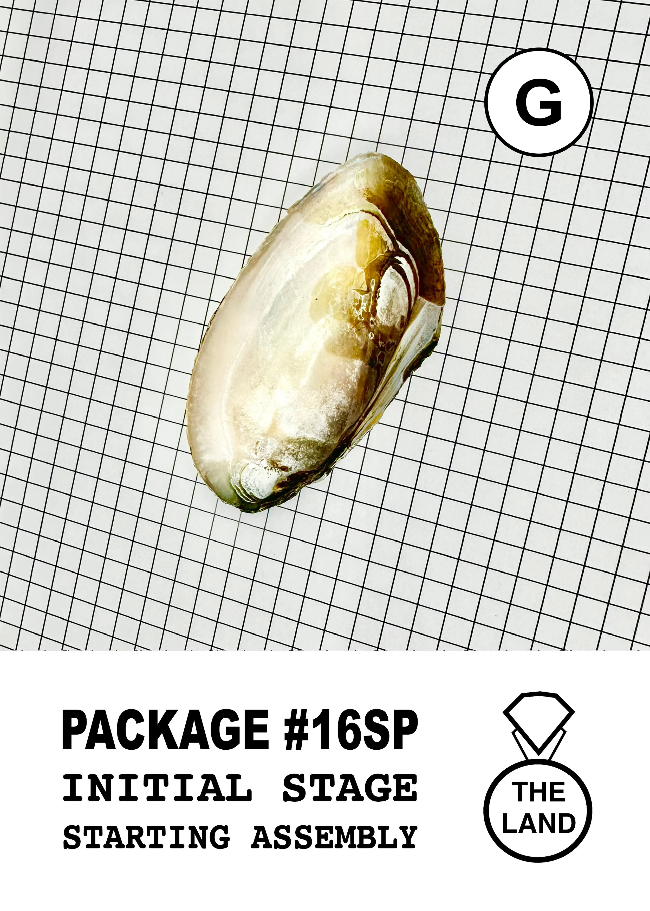 PACKAGE#16-G-INITIAL-STAGE.jpg