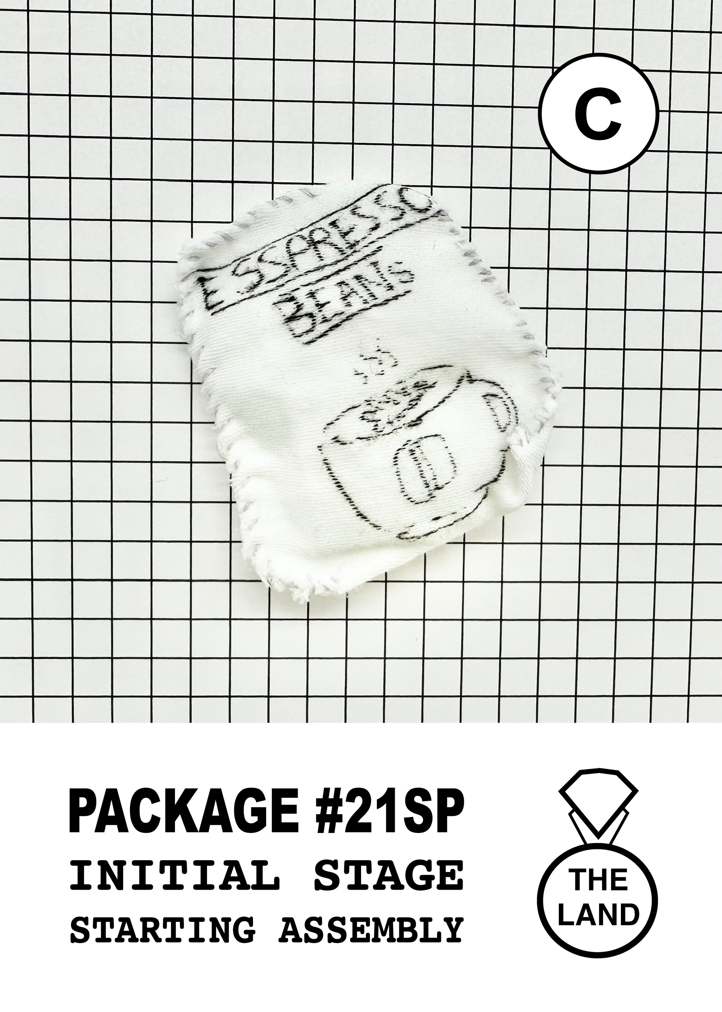 PACKAGE#21-C-INITIAL-STAGE.jpg
