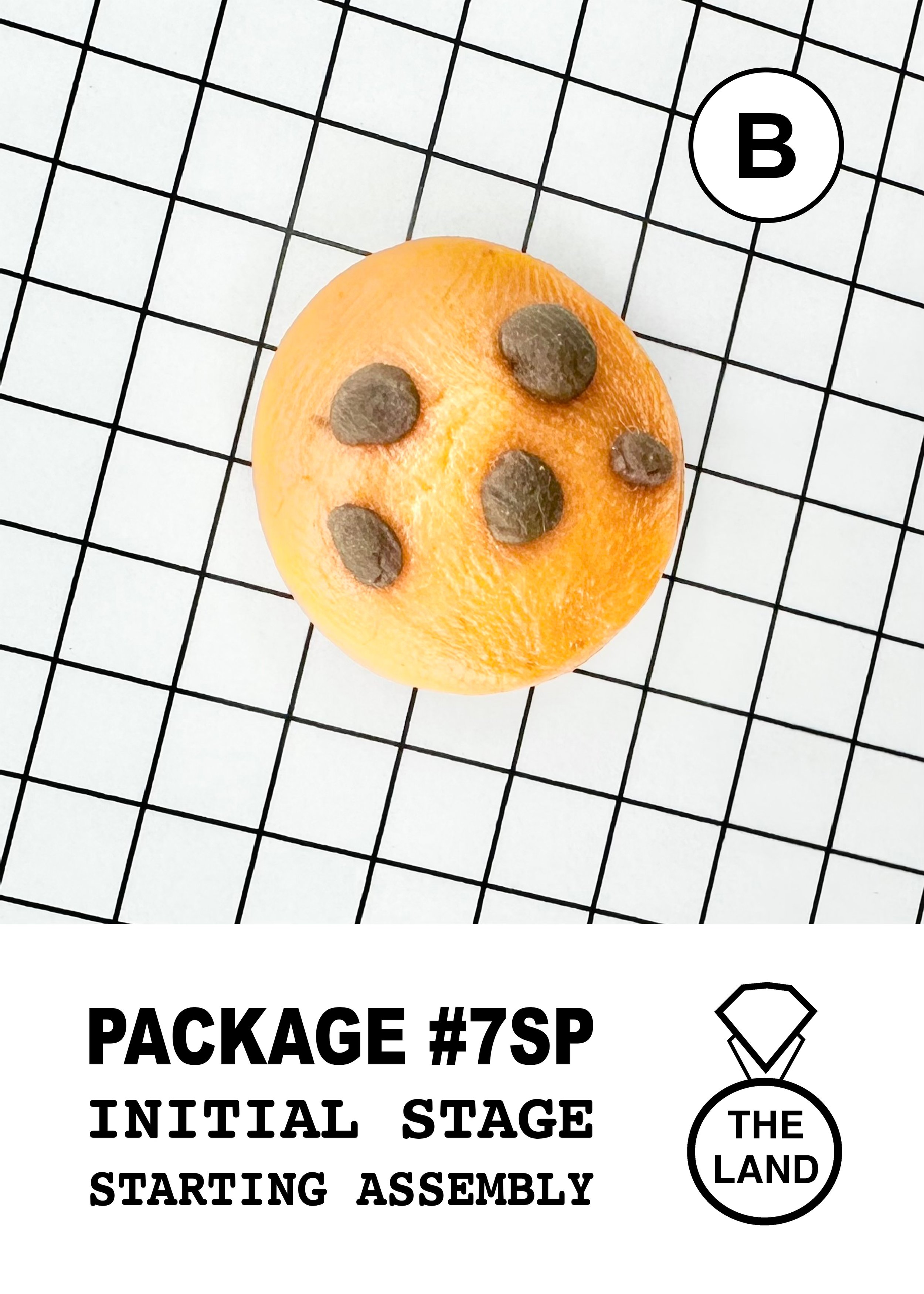 PACKAGE#7-B-INITIAL-STAGE copie.jpg