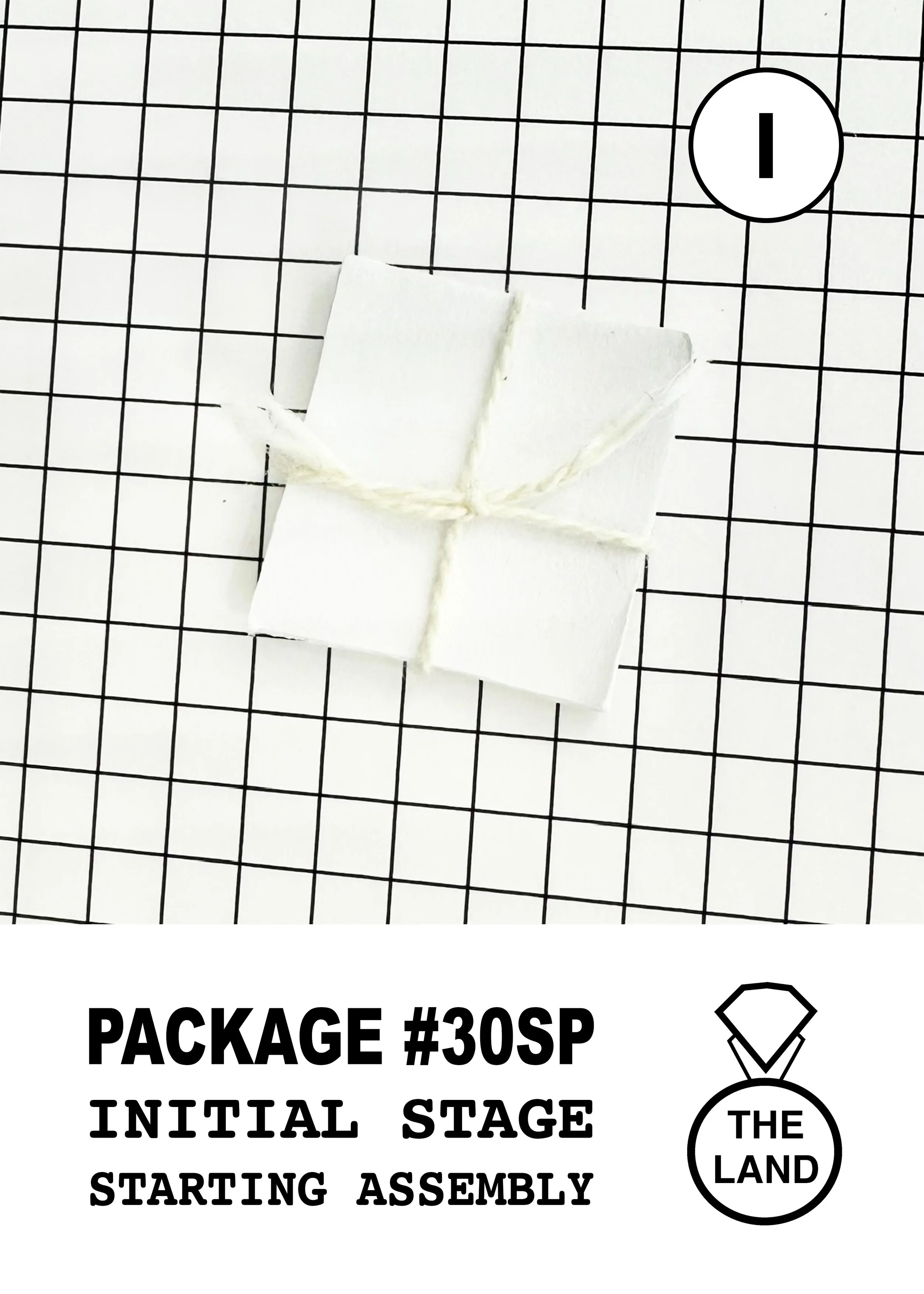 PACKAGE#30-I-INITIAL-STAGE.jpg
