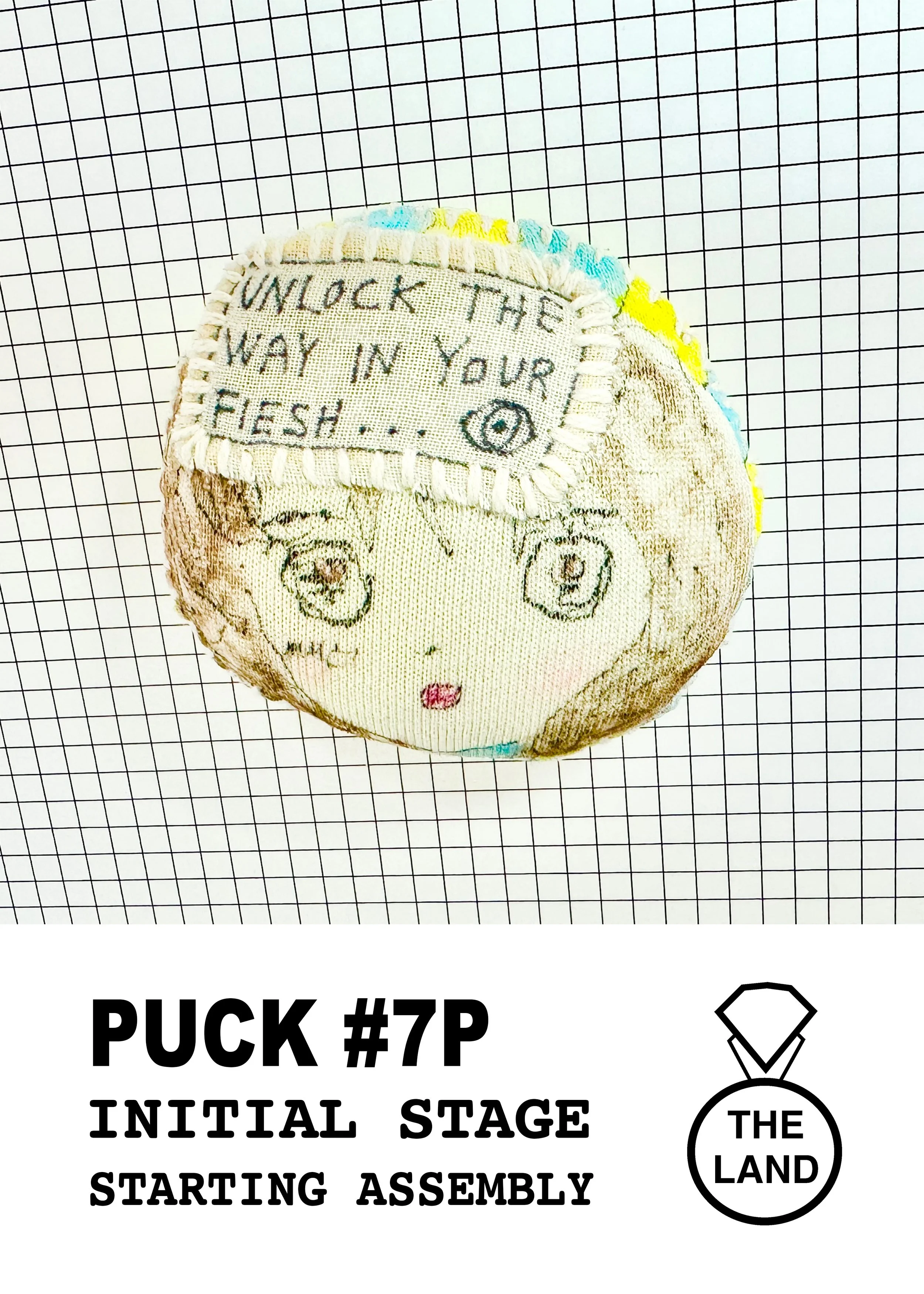 PUCK#7-INITIAL-STAGE.jpg
