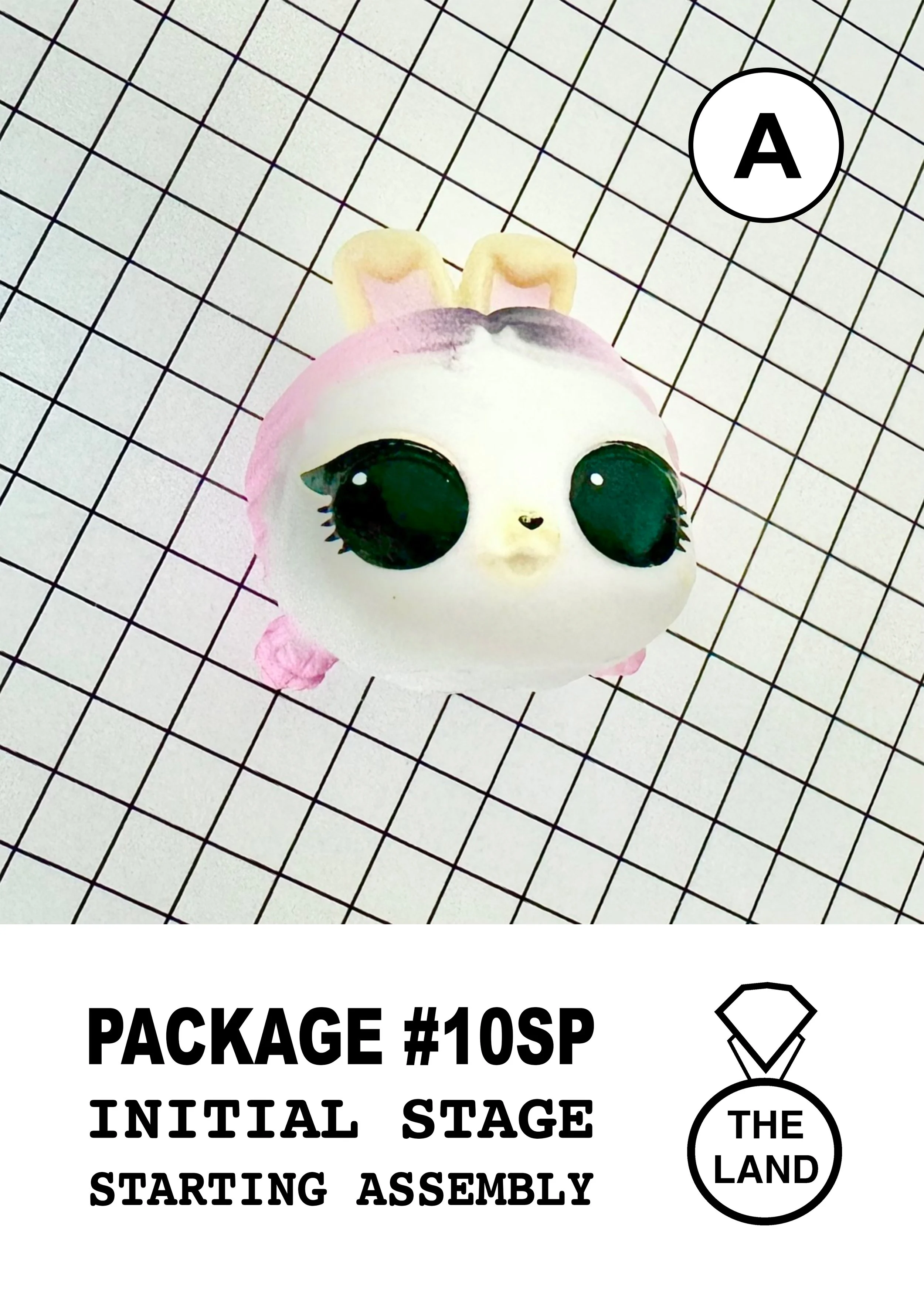 PACKAGE#10-A-INITIAL-STAGE.jpg