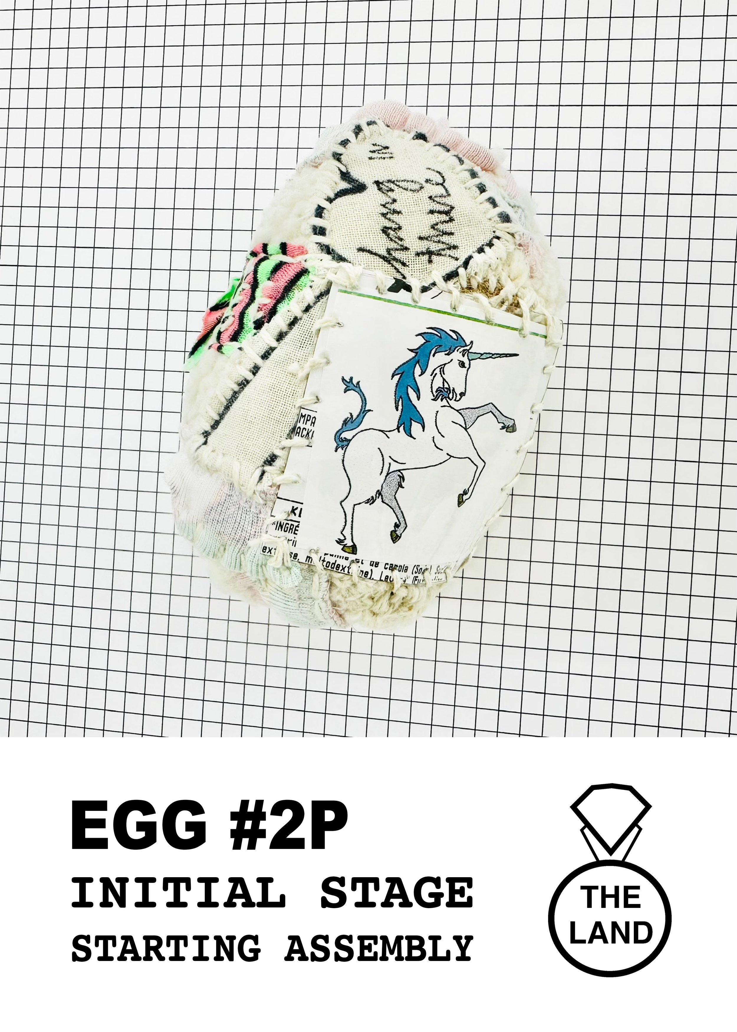EGG#2-INITIAL-STAGE.jpg