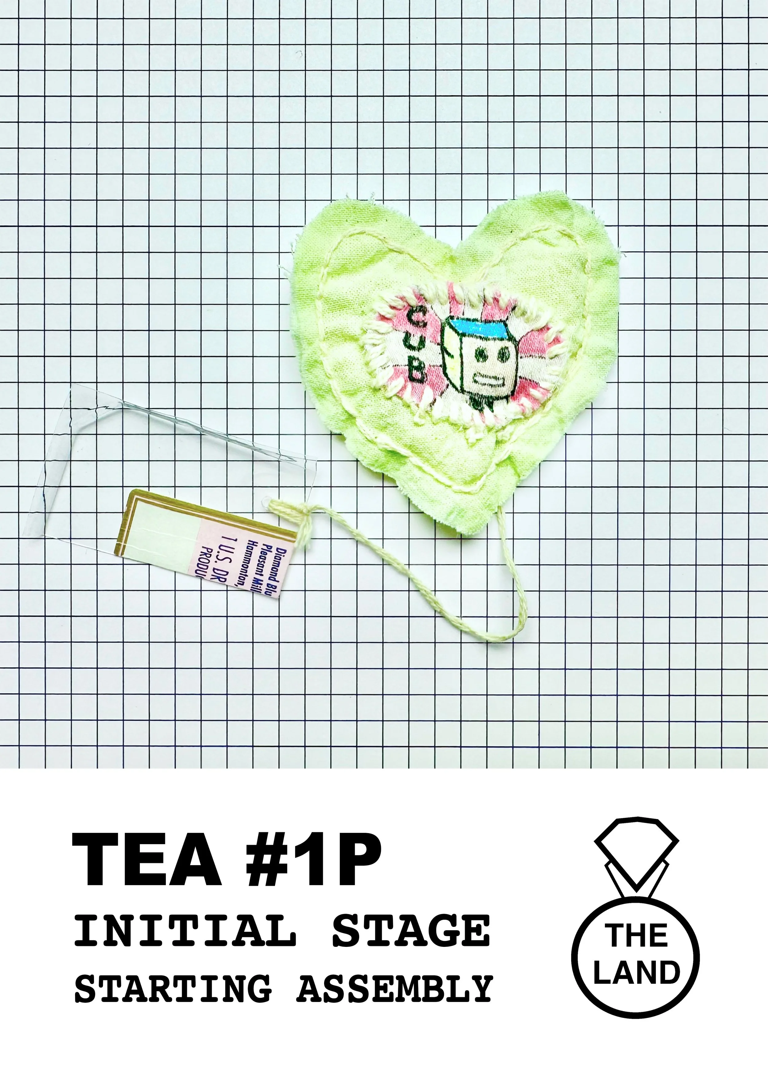 TEA#1-INITIAL-STAGE.jpg