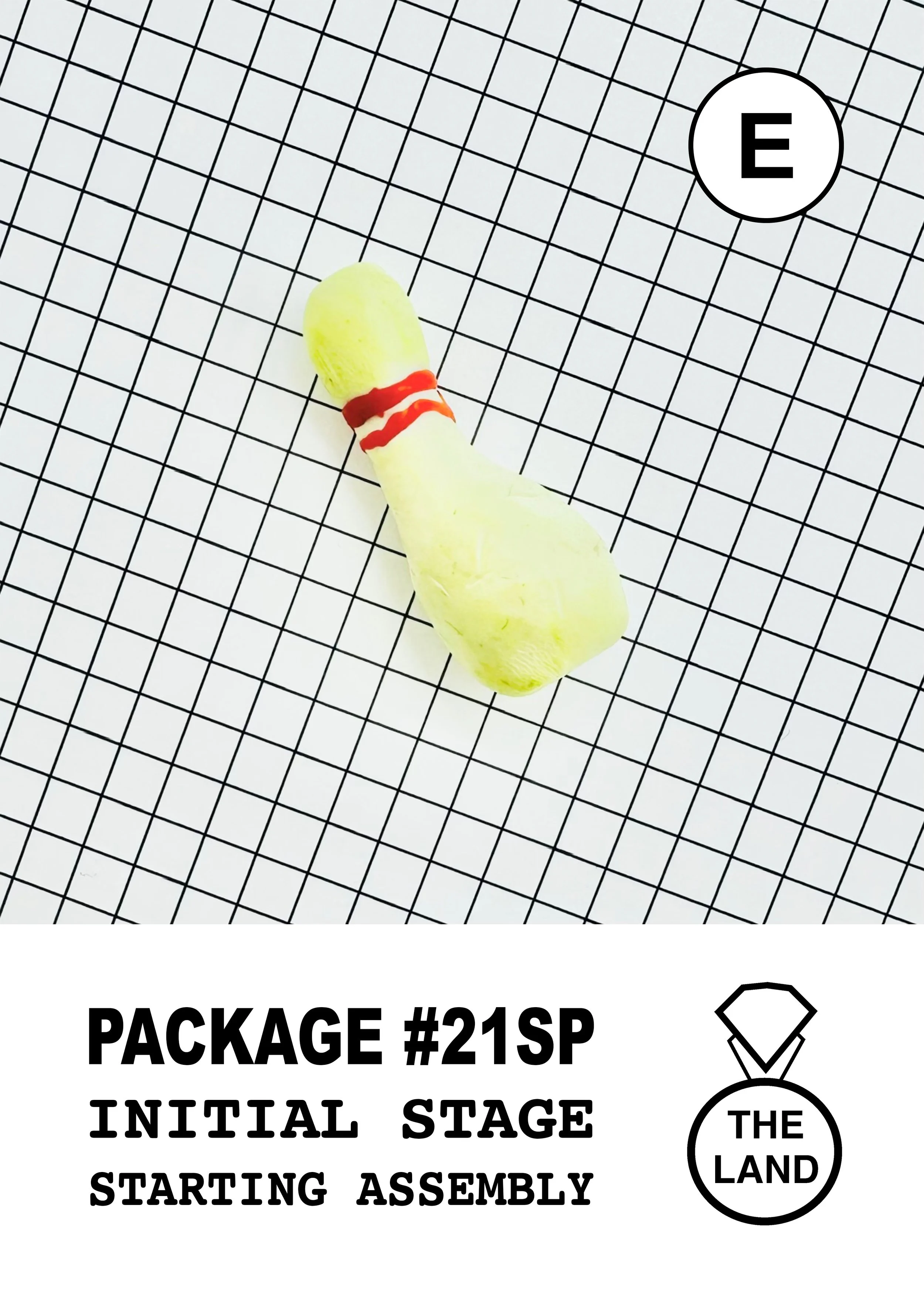 PACKAGE#21-E-INITIAL-STAGE.jpg