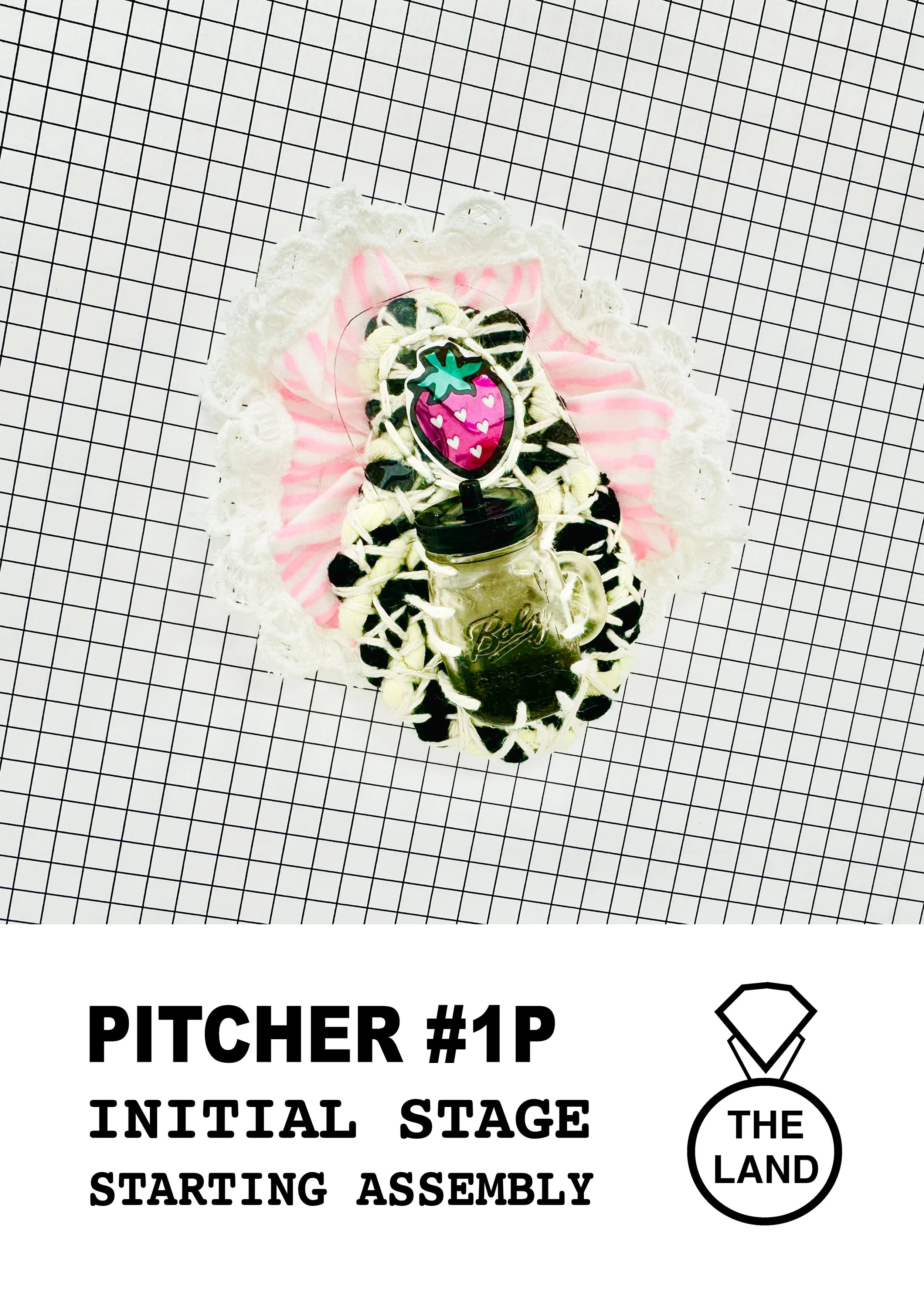PITCHER#1-INITIAL-STAGE.jpg