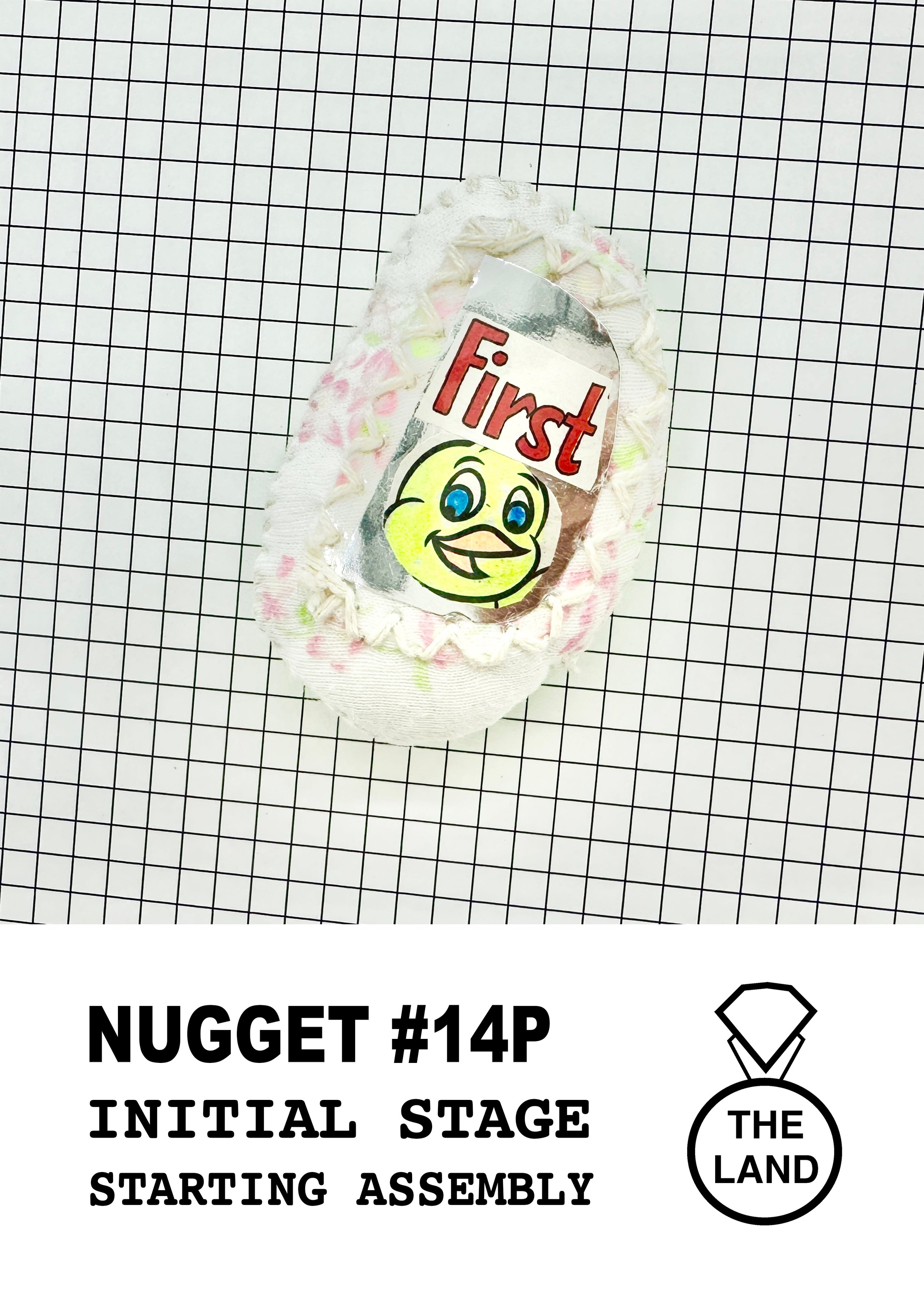 NUGGET#143-INITIAL-STAGE.jpg