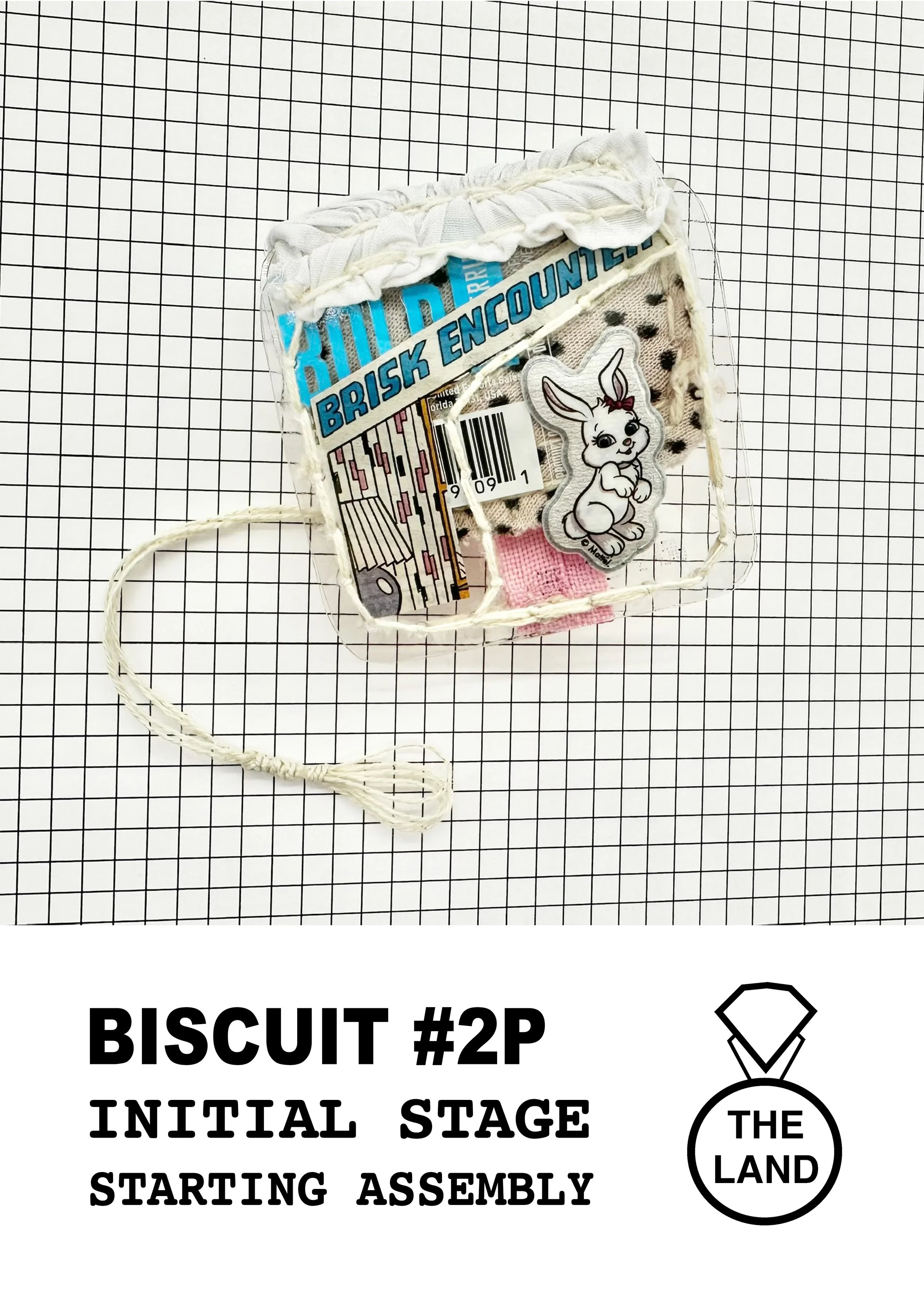 BISCUIT#2-INITIAL-STAGE.jpg