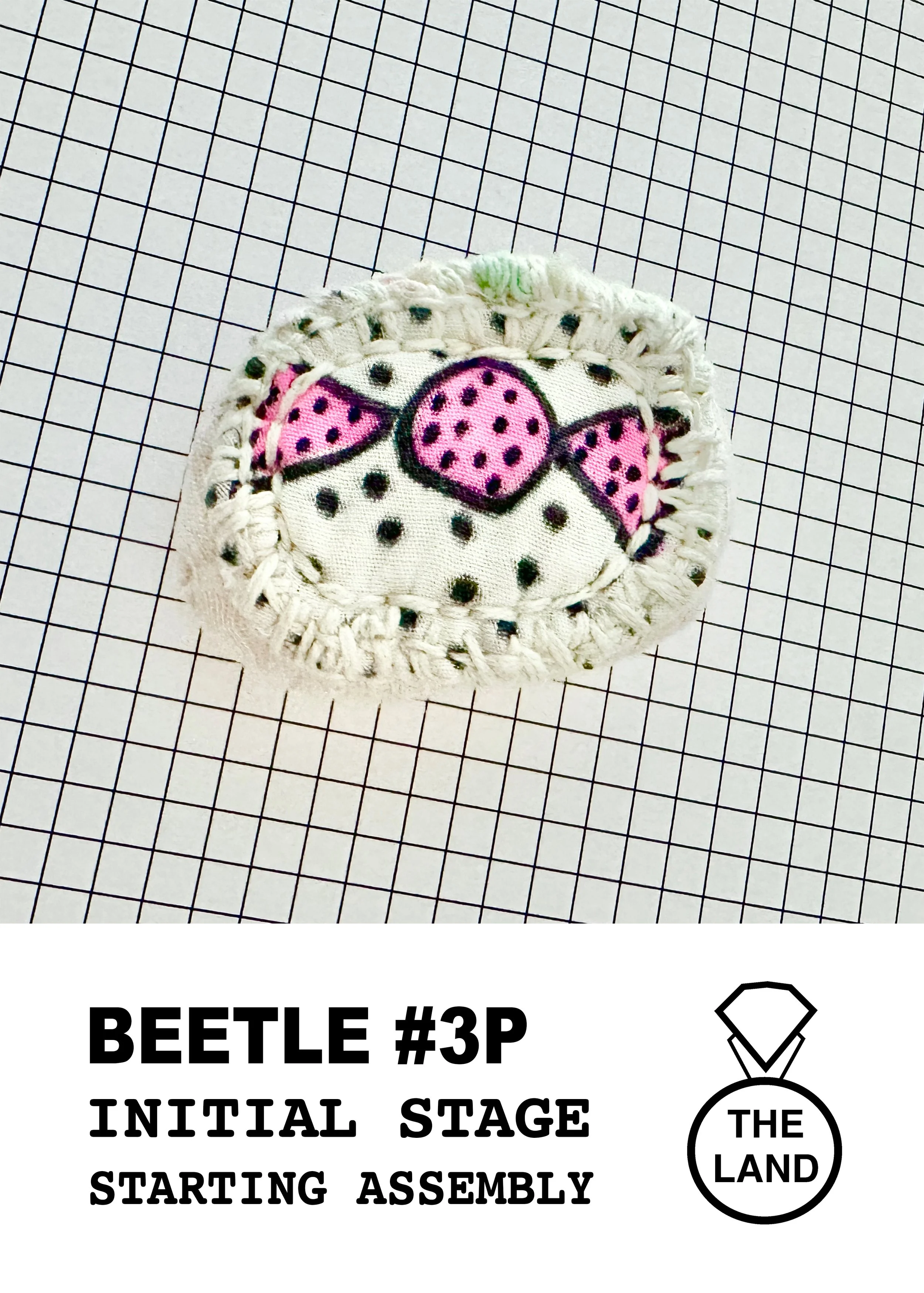 BEETLE#3-INITIAL-STAGE.jpg