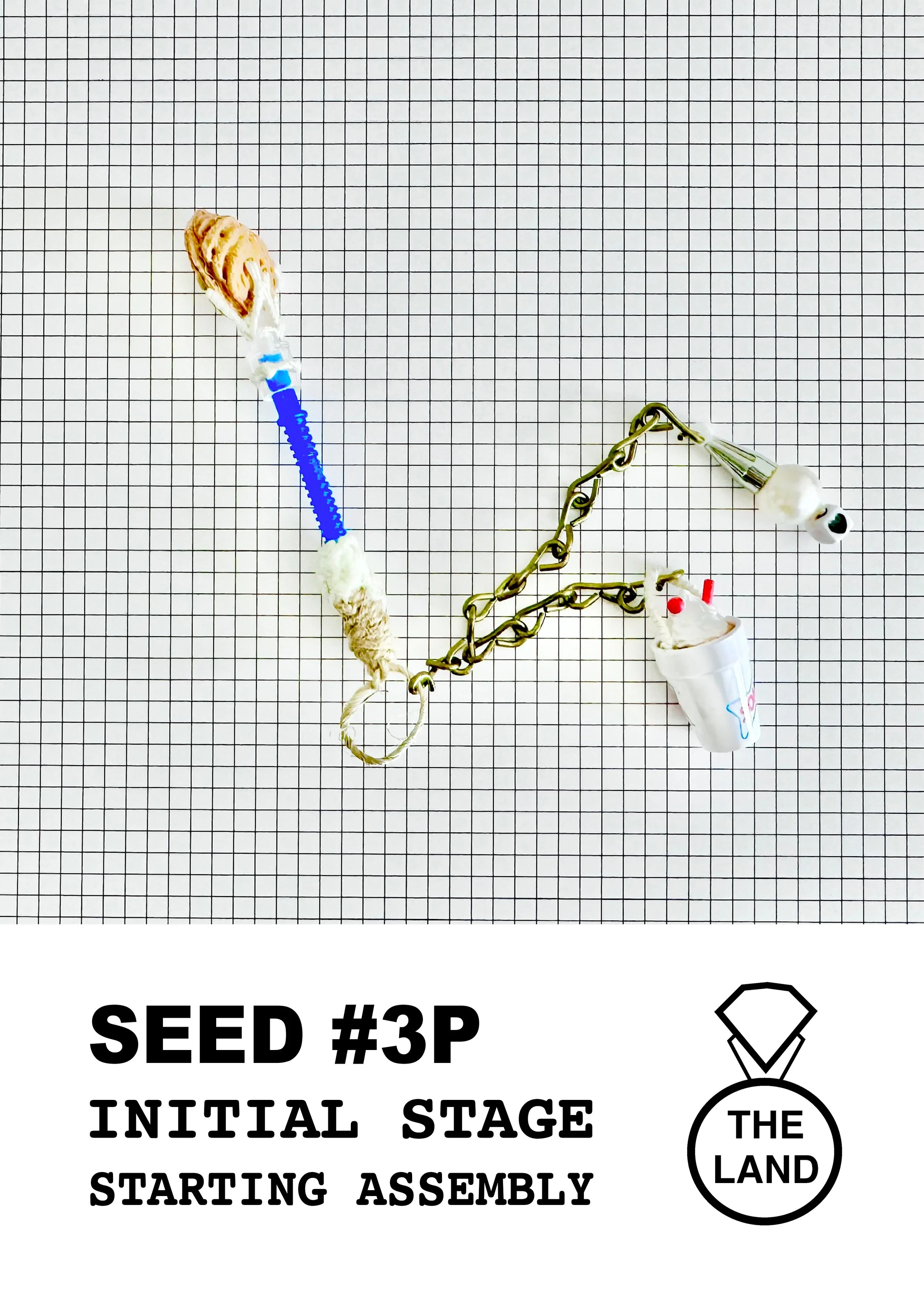 SEED#3-INITIAL-STAGE.jpg
