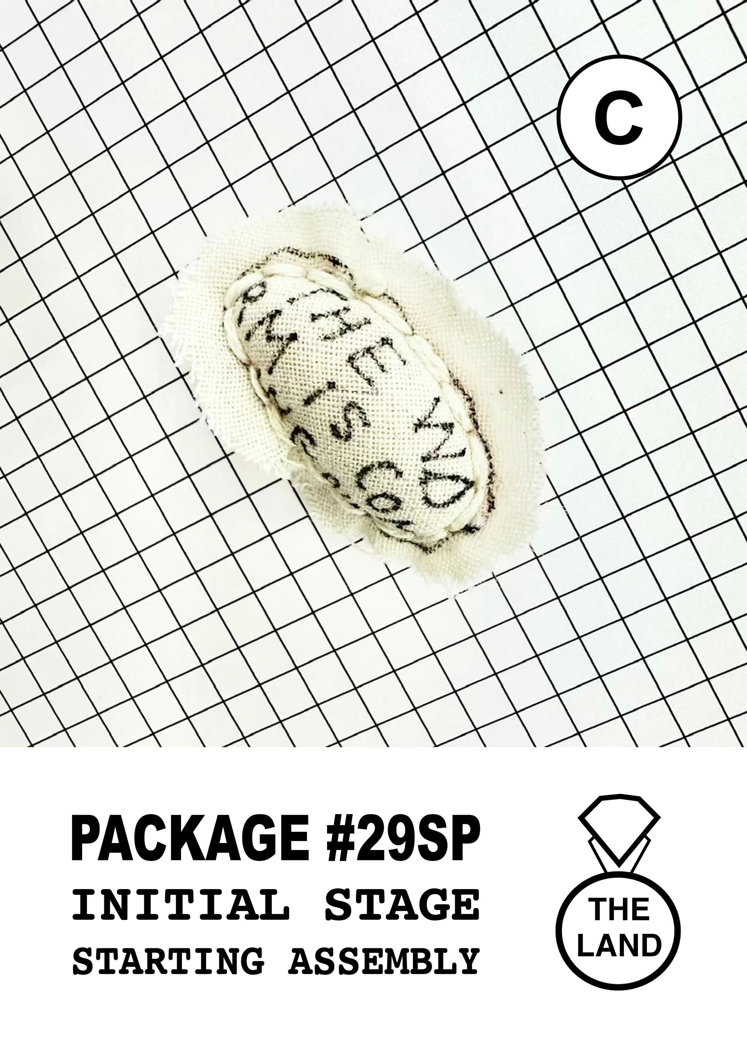 PACKAGE#29-C-INITIAL-STAGE.jpg