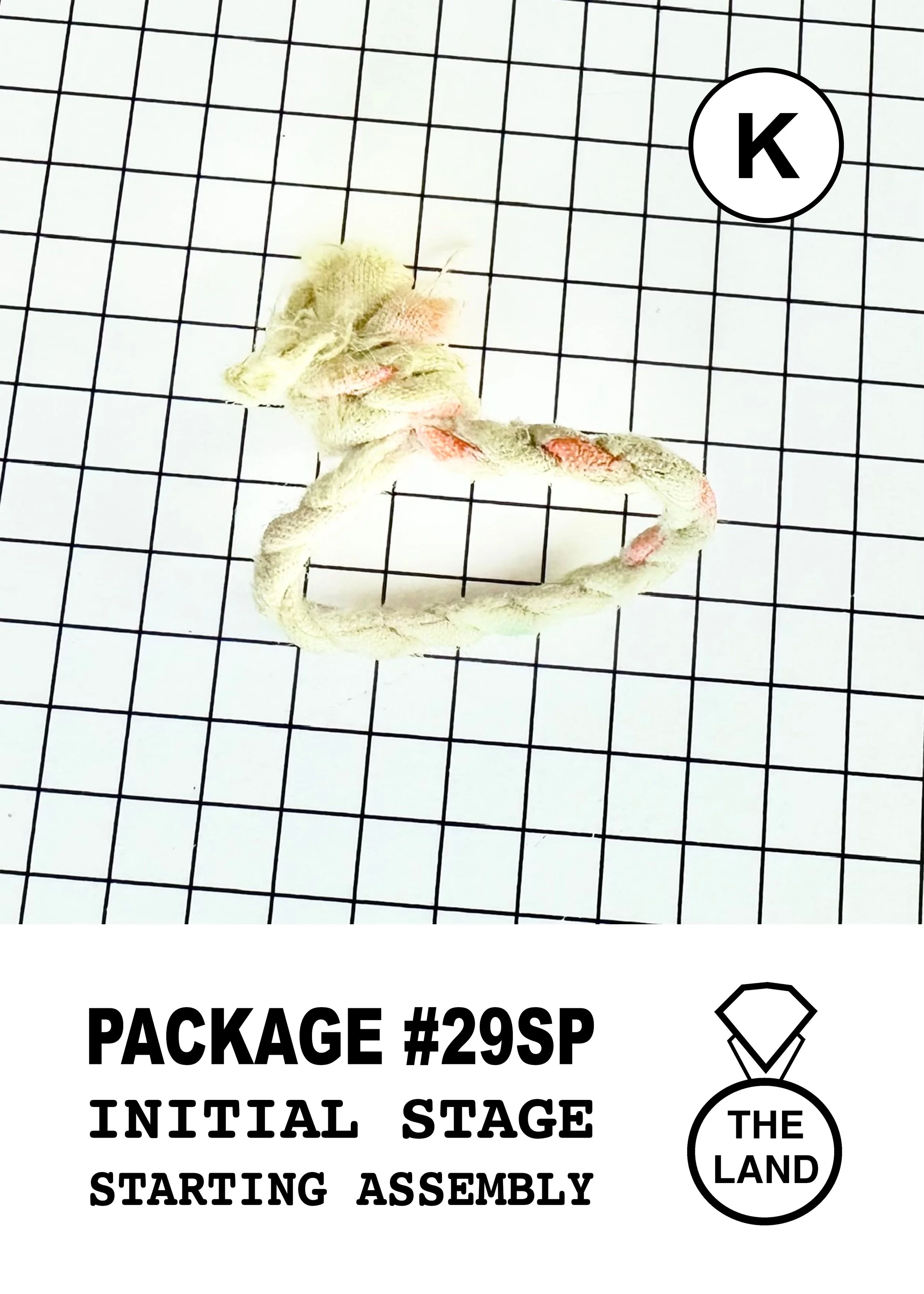 PACKAGE#29-K-INITIAL-STAGE.jpg