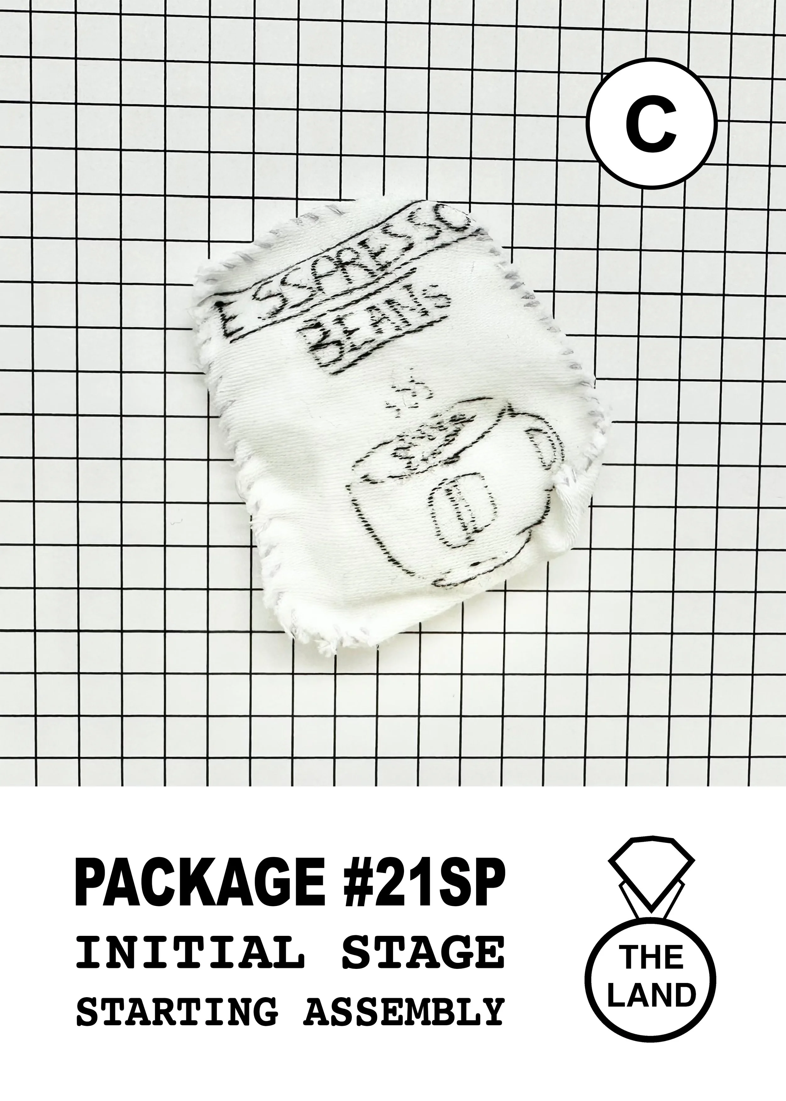 PACKAGE#21-C-INITIAL-STAGE.jpg