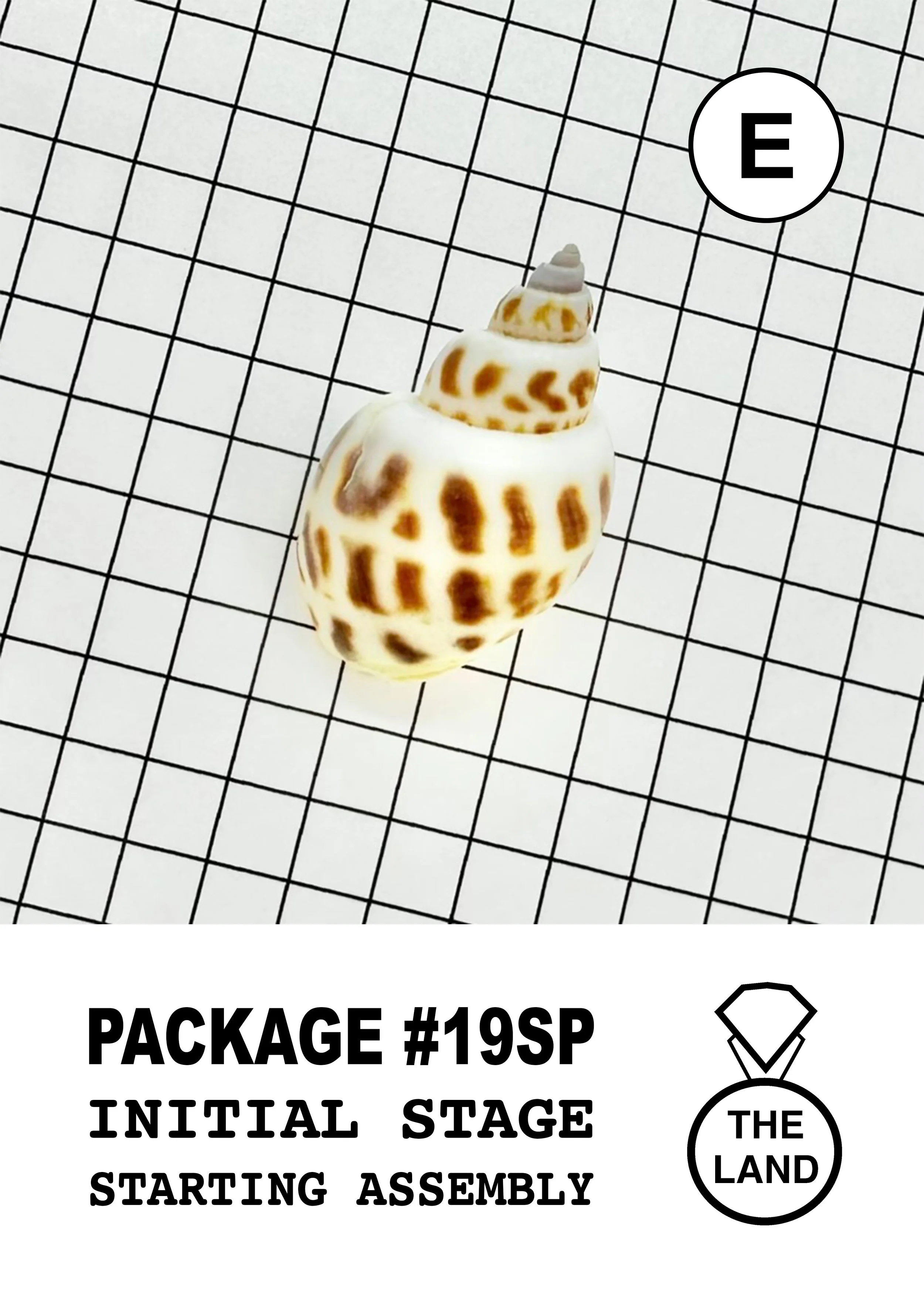 PACKAGE#19-E-INITIAL-STAGE.jpg