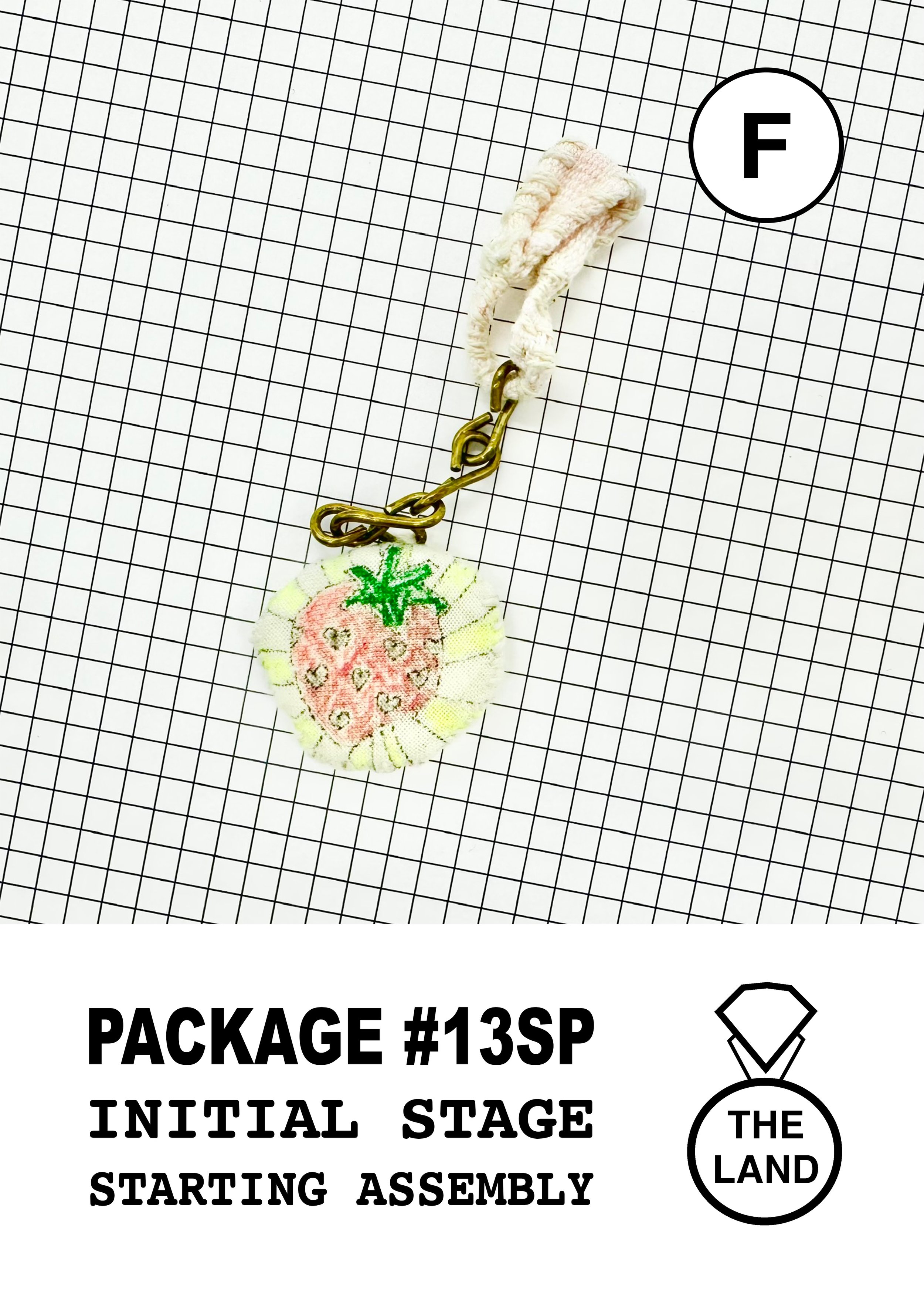 PACKAGE#13-F-INITIAL-STAGE.jpg