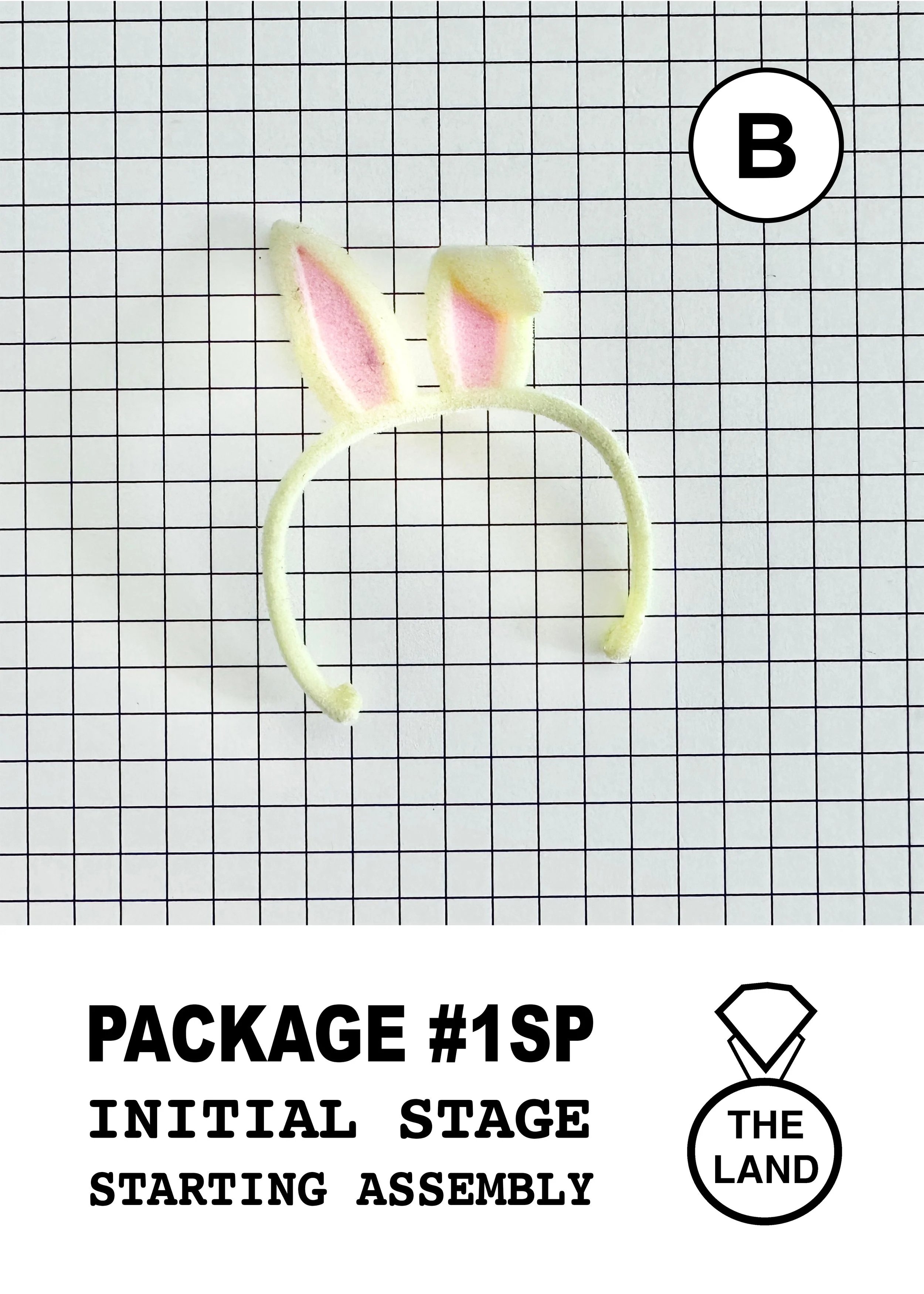PACKAGE#1-B-INITIAL-STAGE.jpg