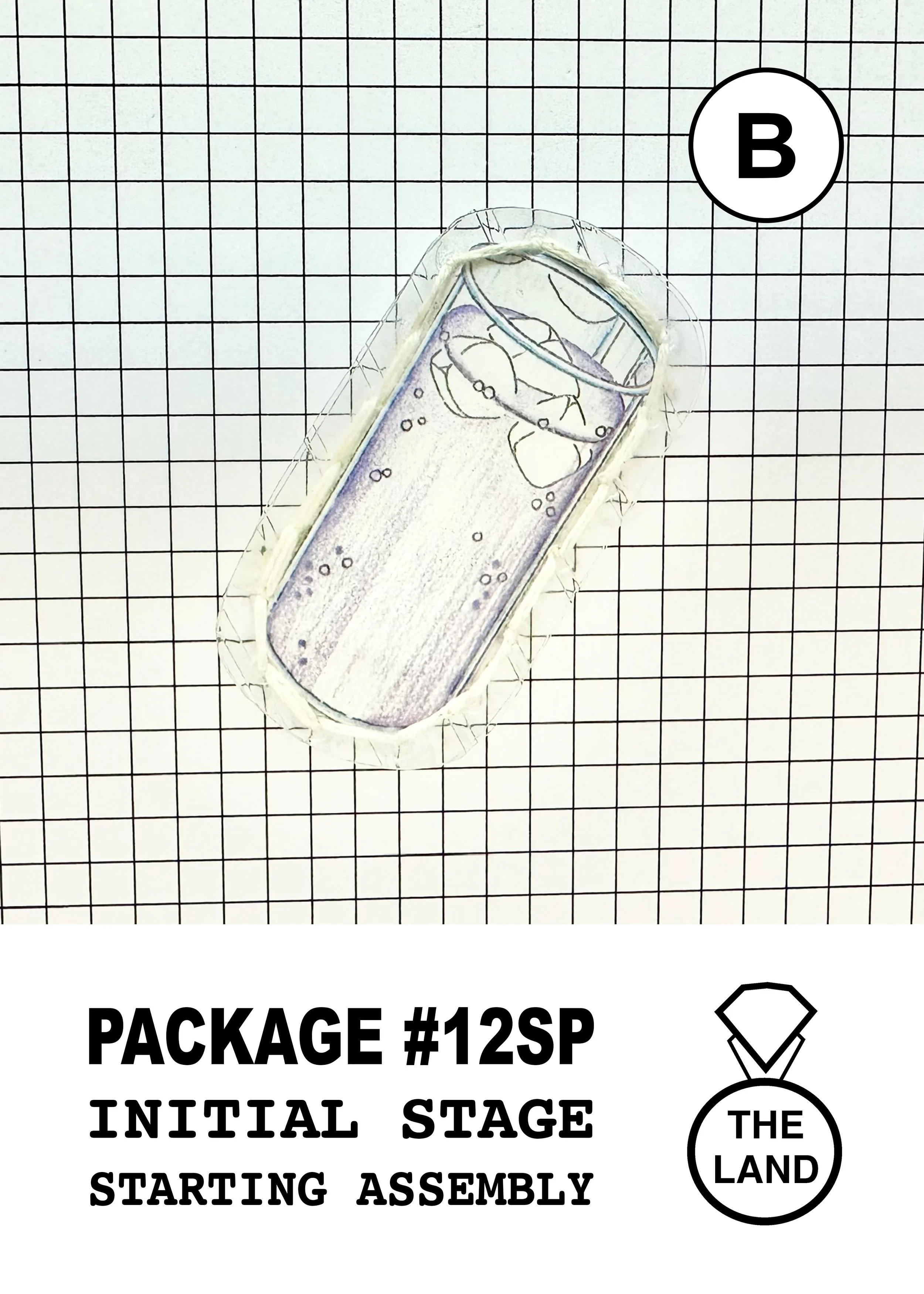 PACKAGE#12-B-INITIAL-STAGE.jpg
