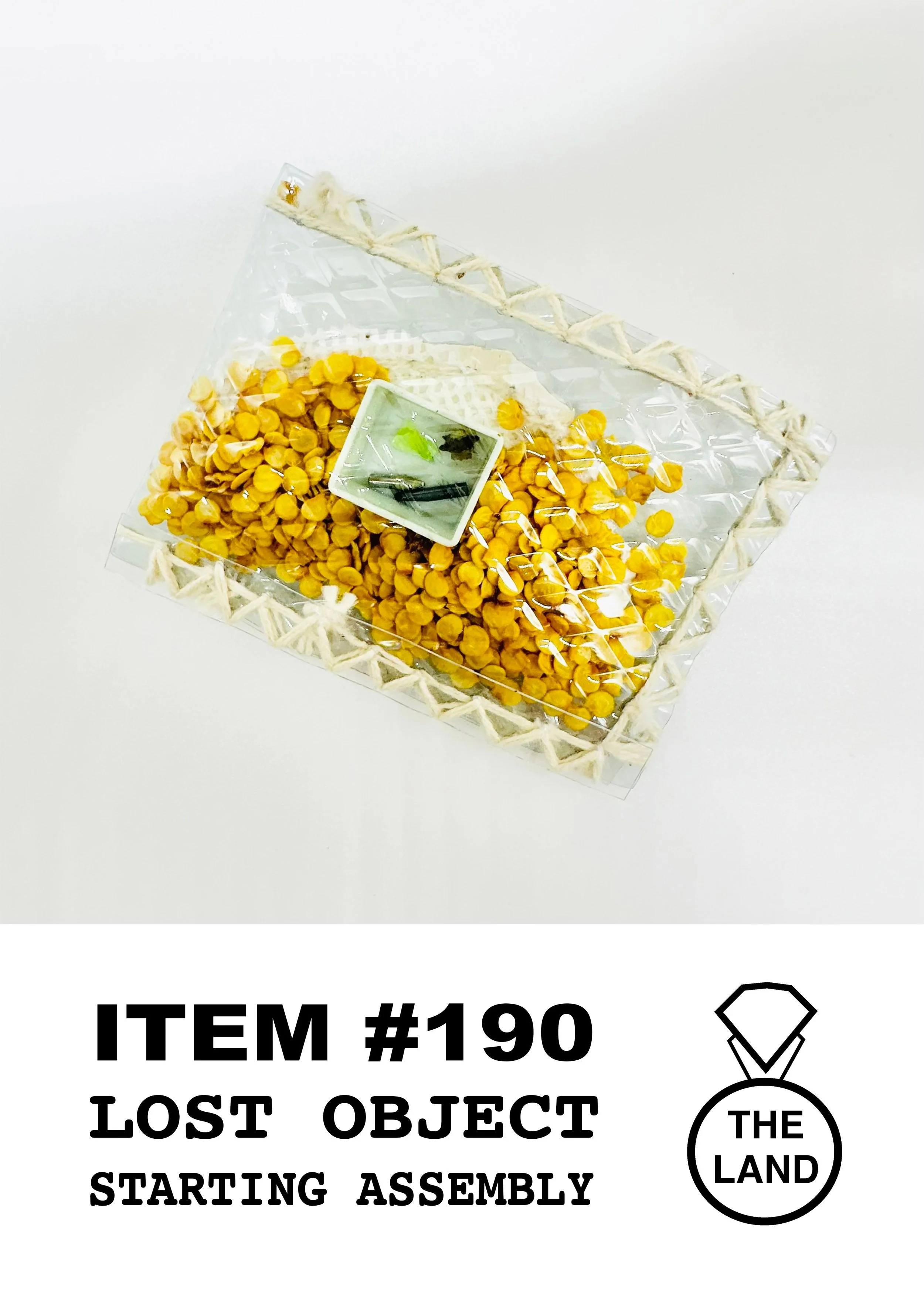 ITEM#190-OBJET-PERDU.jpg