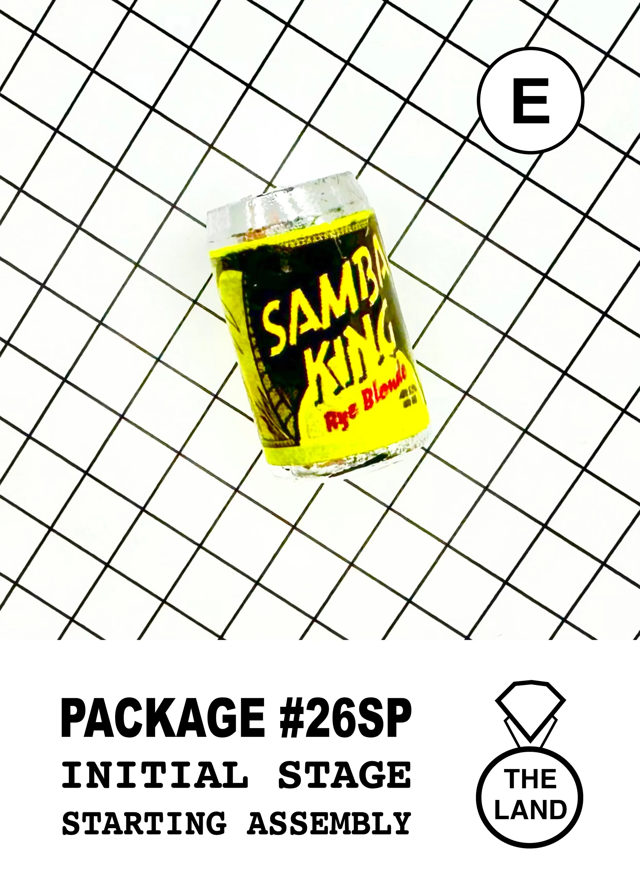 PACKAGE#26-E-INITIAL-STAGE.jpg