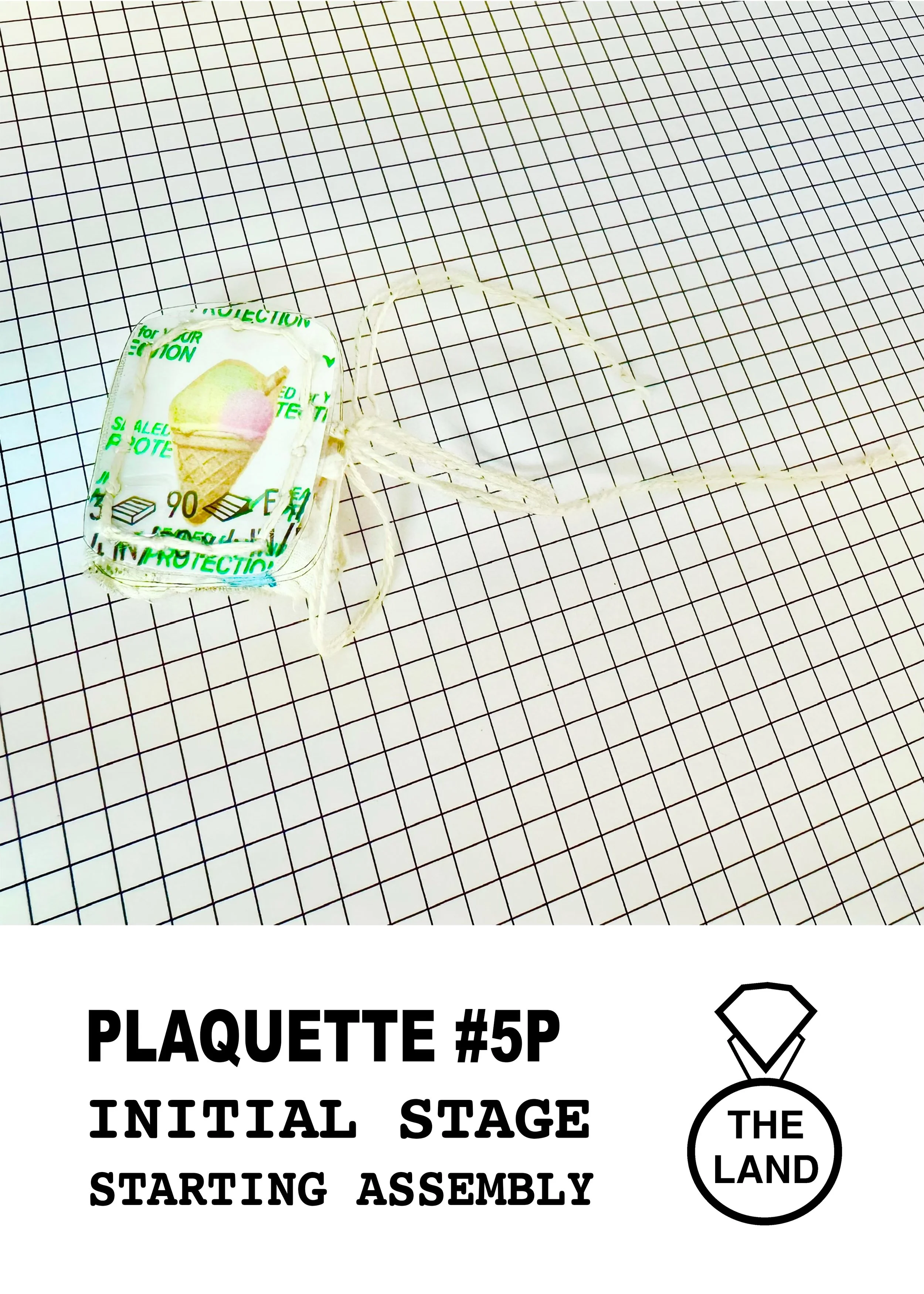 PLAQUETTE#5-INITIAL-STAGE.jpg