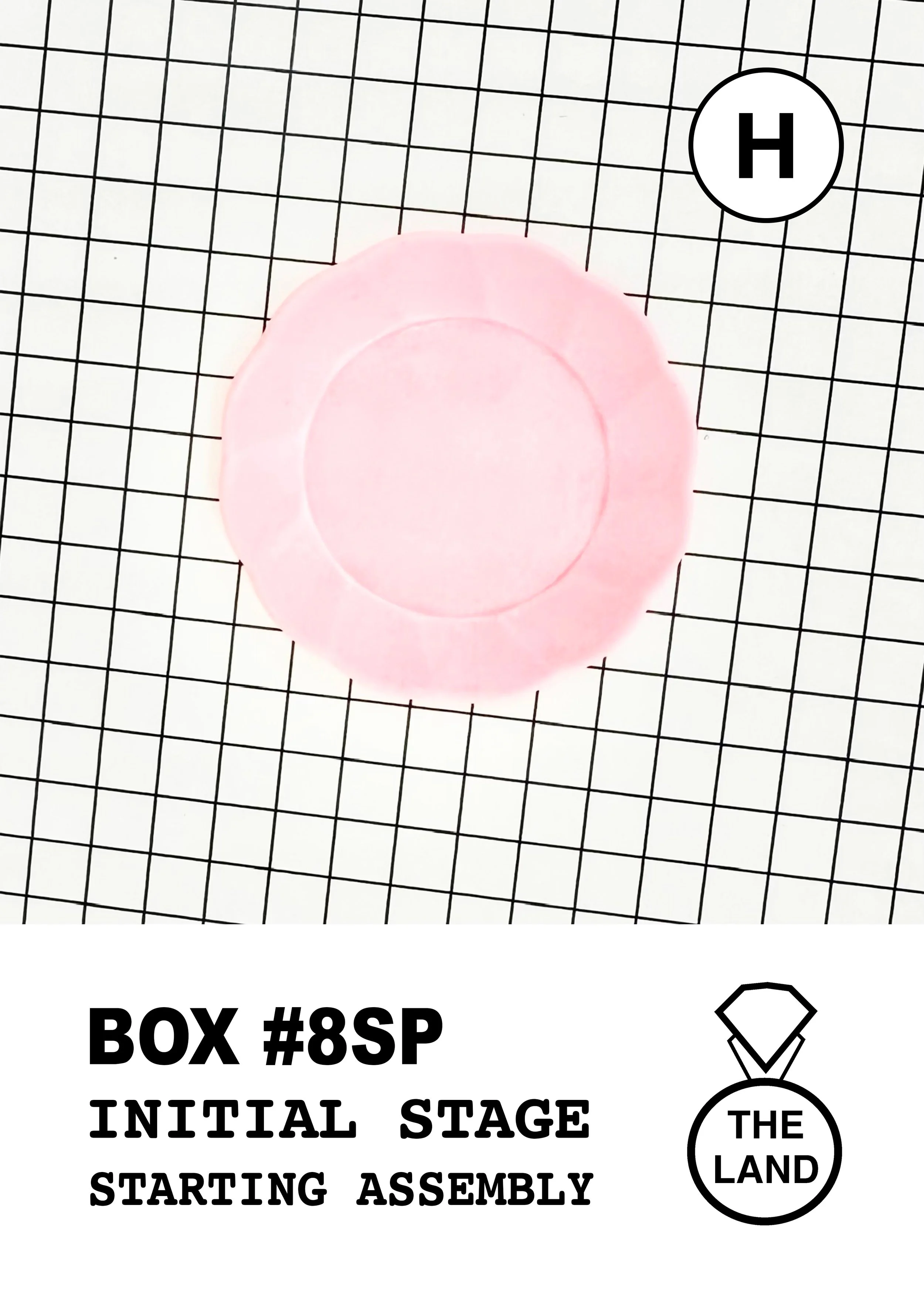 BOX#8-H-INITIAL-STAGE.jpg