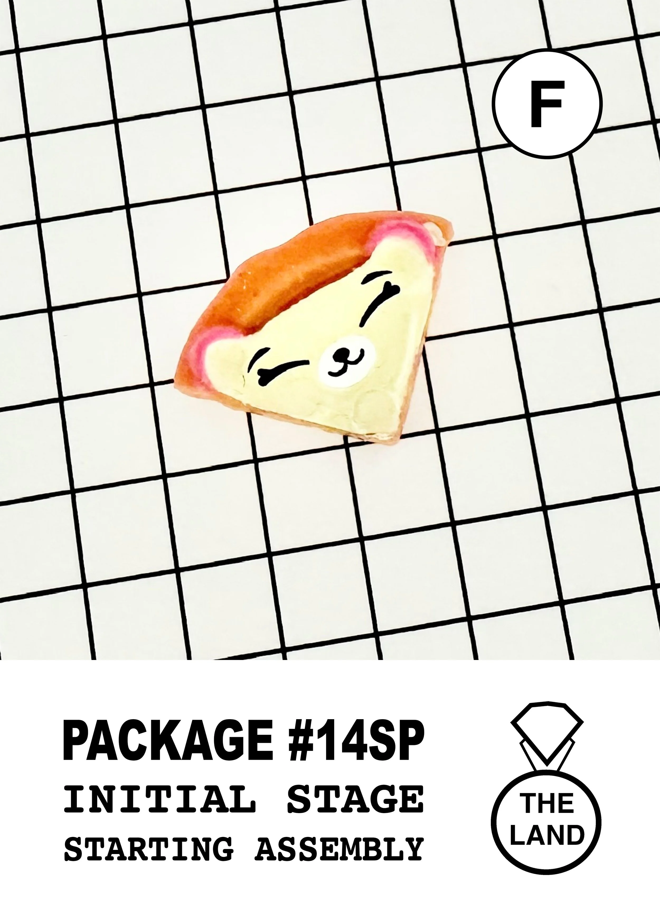 PACKAGE#14-F-INITIAL-STAGE.jpg