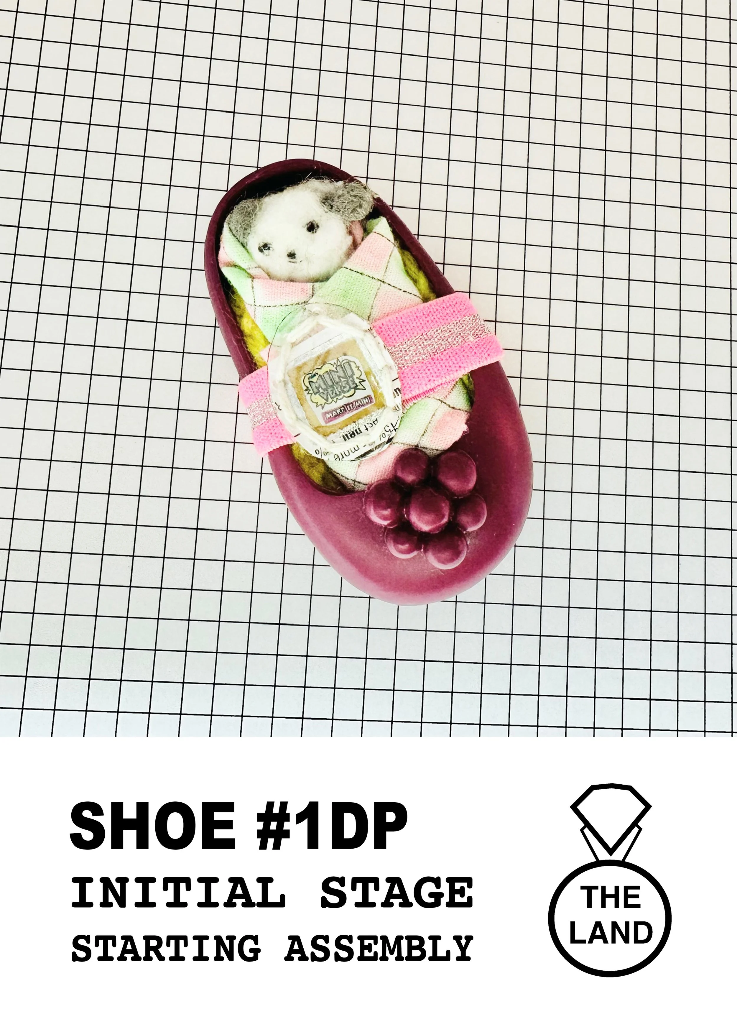 SHOE#1-INITIAL-STAGE.jpg