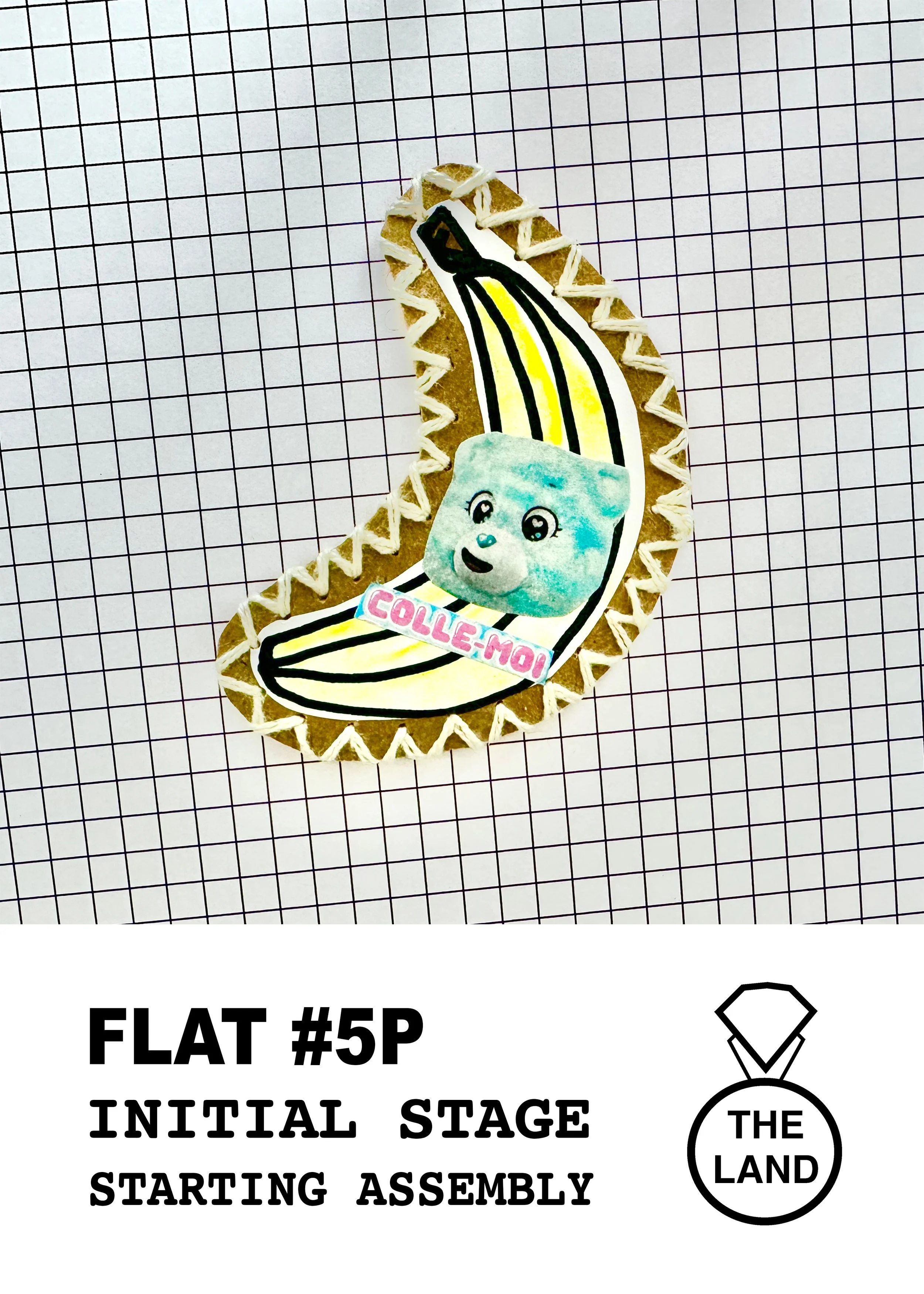 FLAT#5-INITIAL-STAGE.jpg