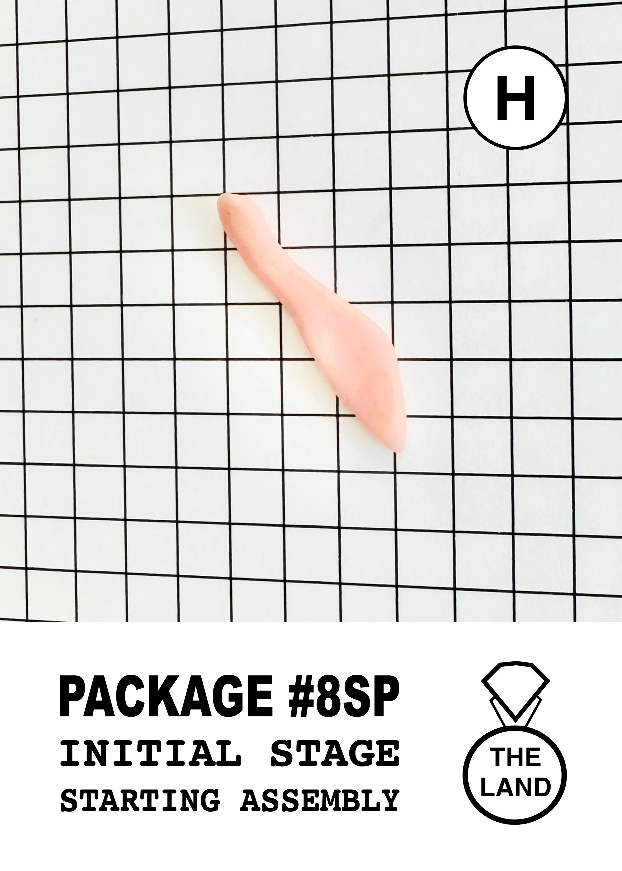 PACKAGE#8-H-INITIAL-STAGE.jpg